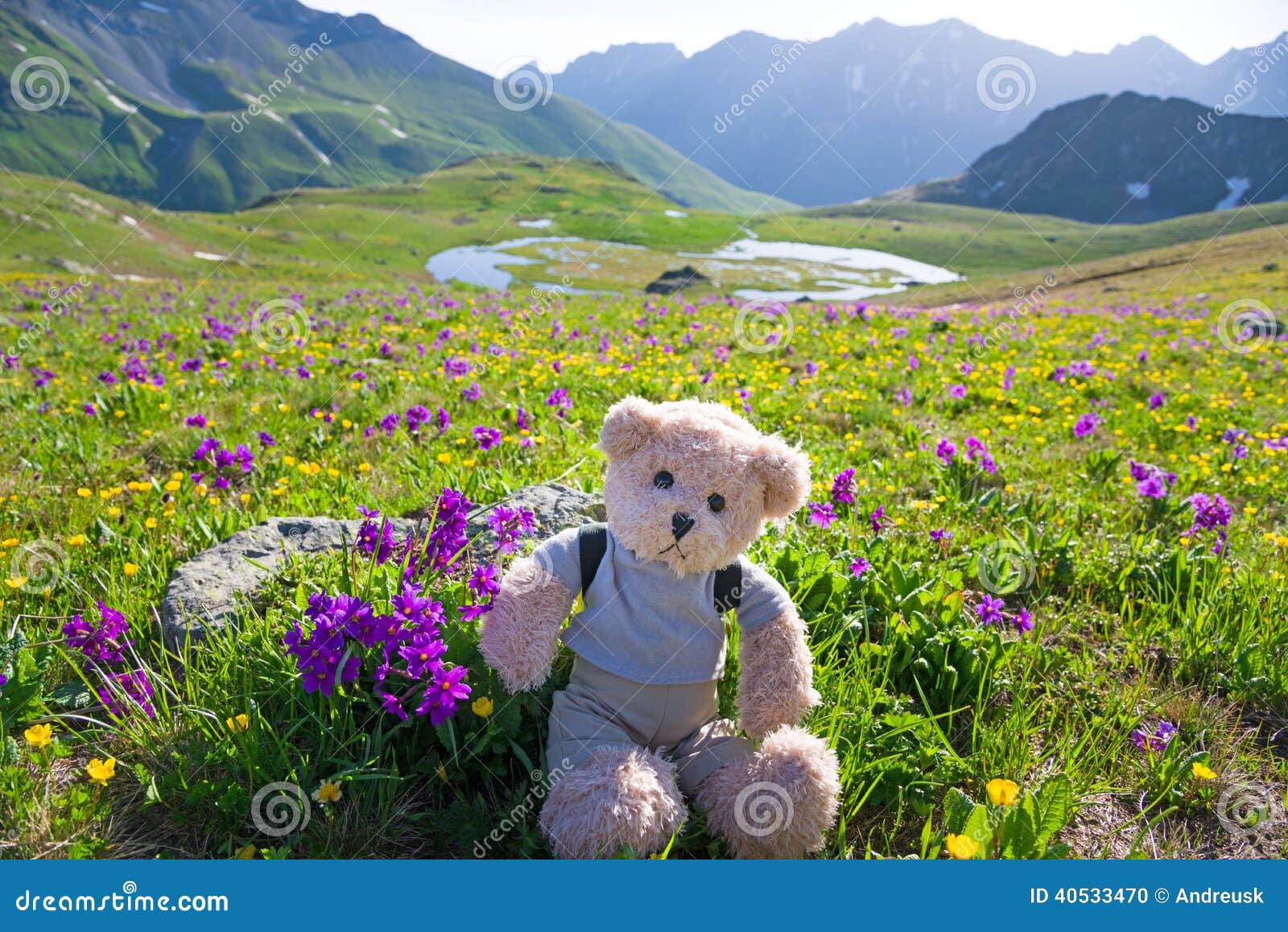 Teddy bear hiking stock photo. Image of tourism, travel 40533470