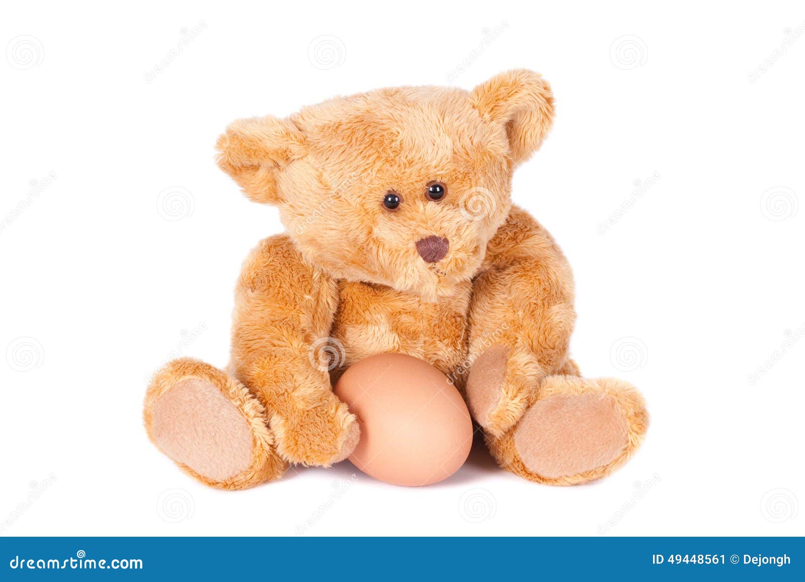 Identify the animal Teddy-bear-holding-fresh-egg-isolated-subject-portrayed-against-white-background-49448561