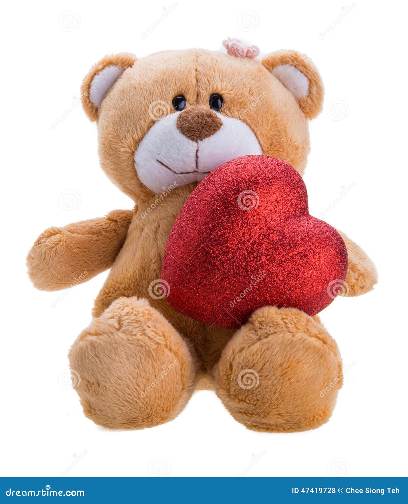 Teddy Bear Holding a Heart stock photo. Image of shot 47419728