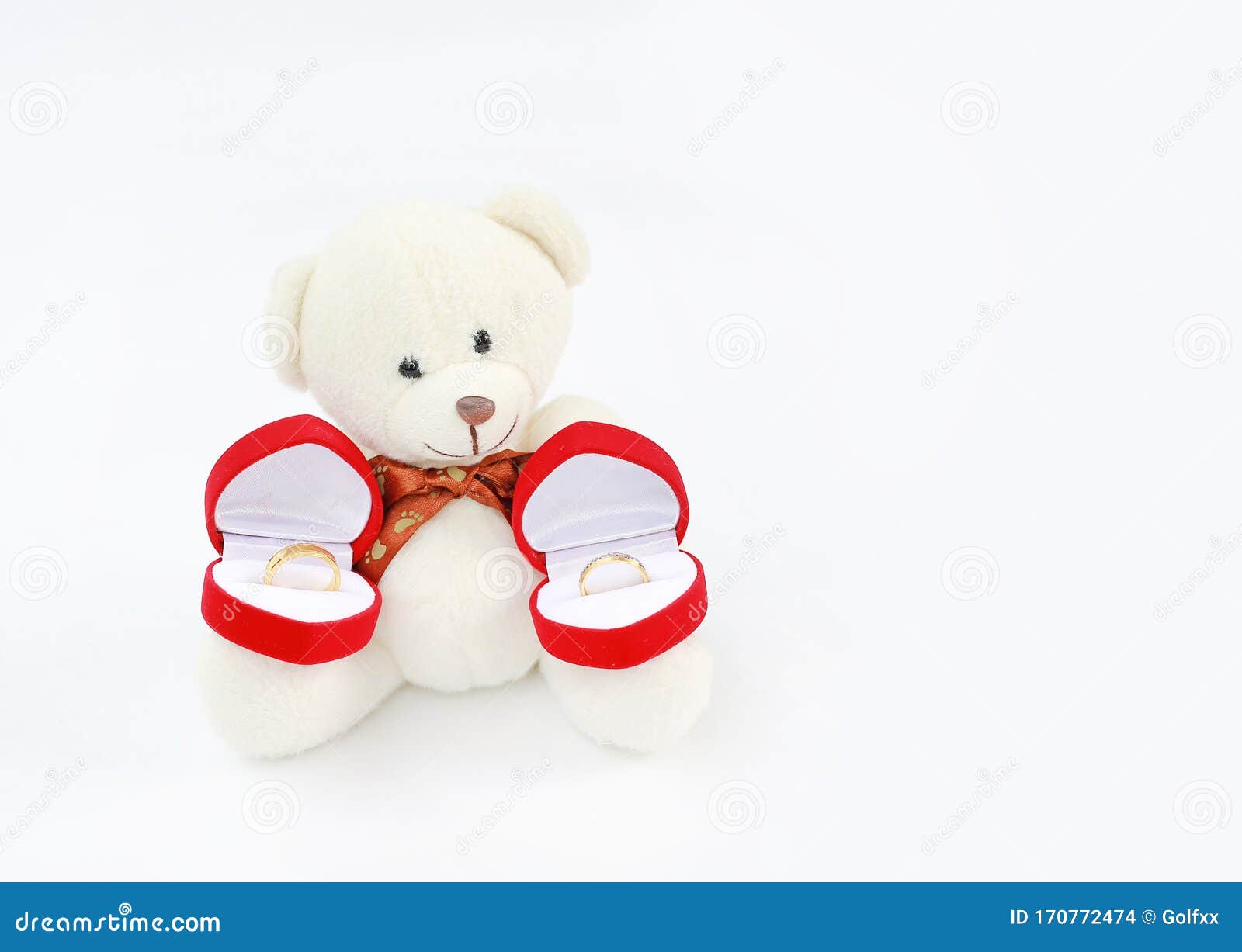 Teddy Bear Holding Red Box with Wedding Rings Inside Stock Photo