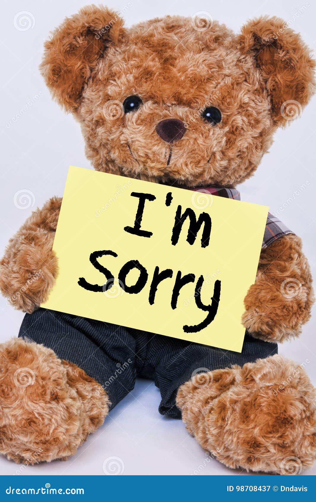 Teddy Bear Holding a Yellow Sign that Says I`m Sorry Stock Image ...