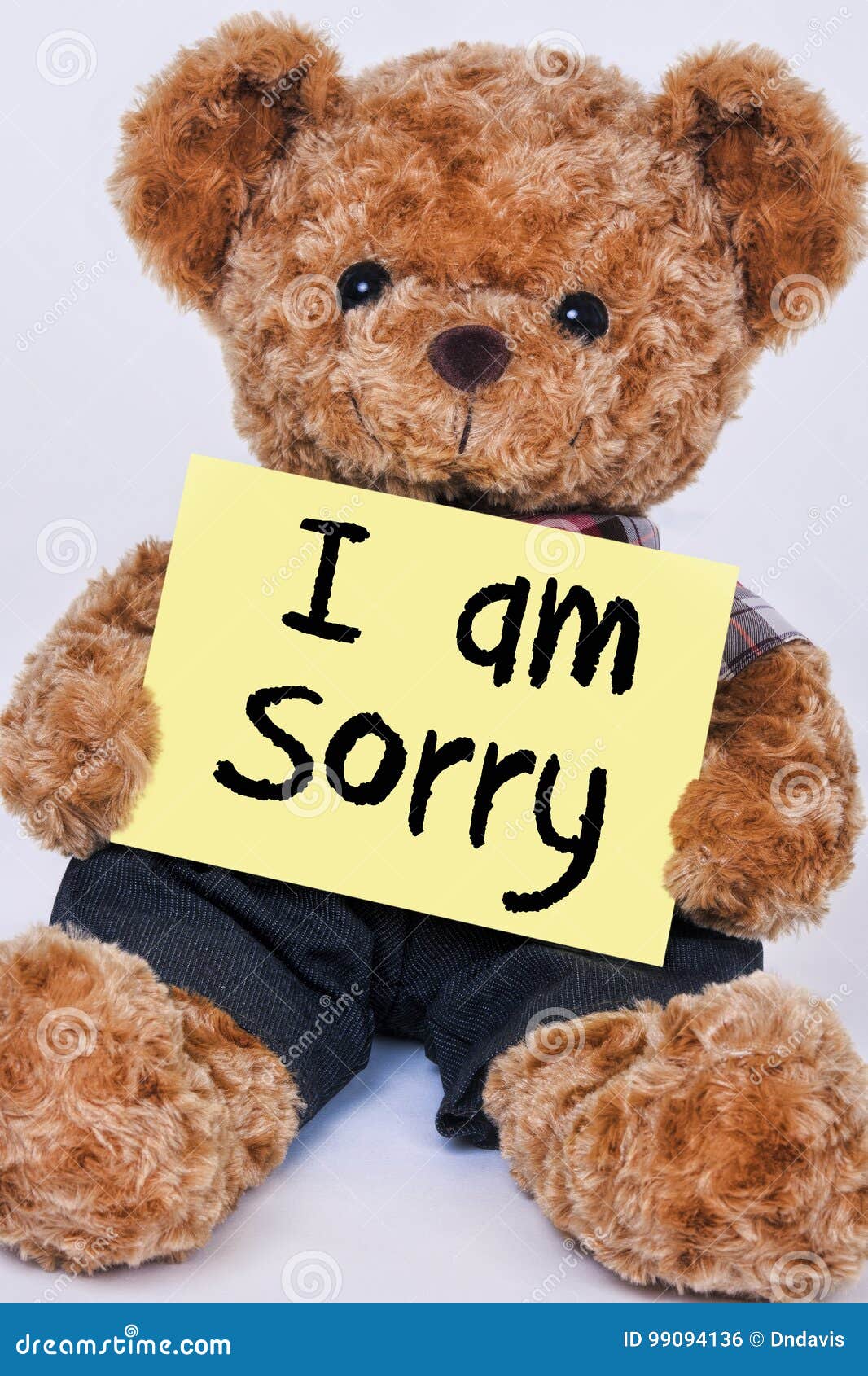 Teddy Bear Holding Yellow Sign that Says I am Sorry Stock Photo ...