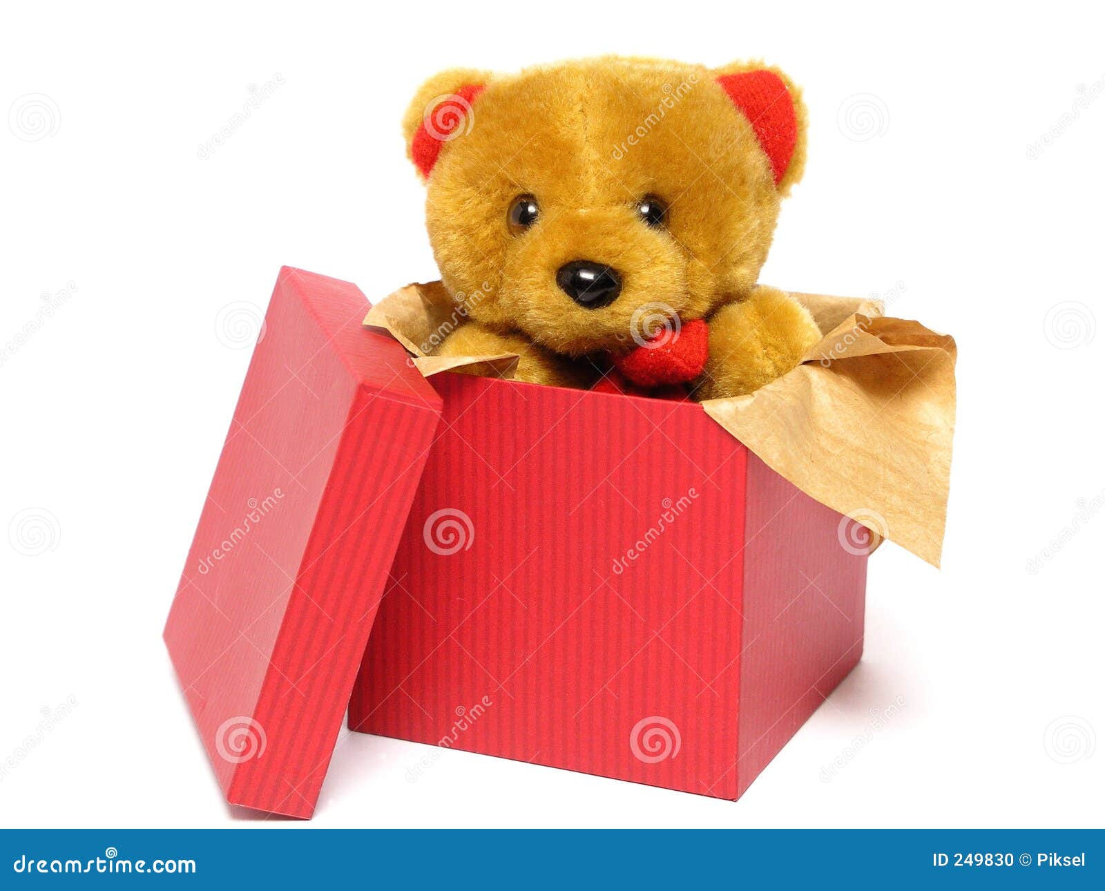 teddy in a box