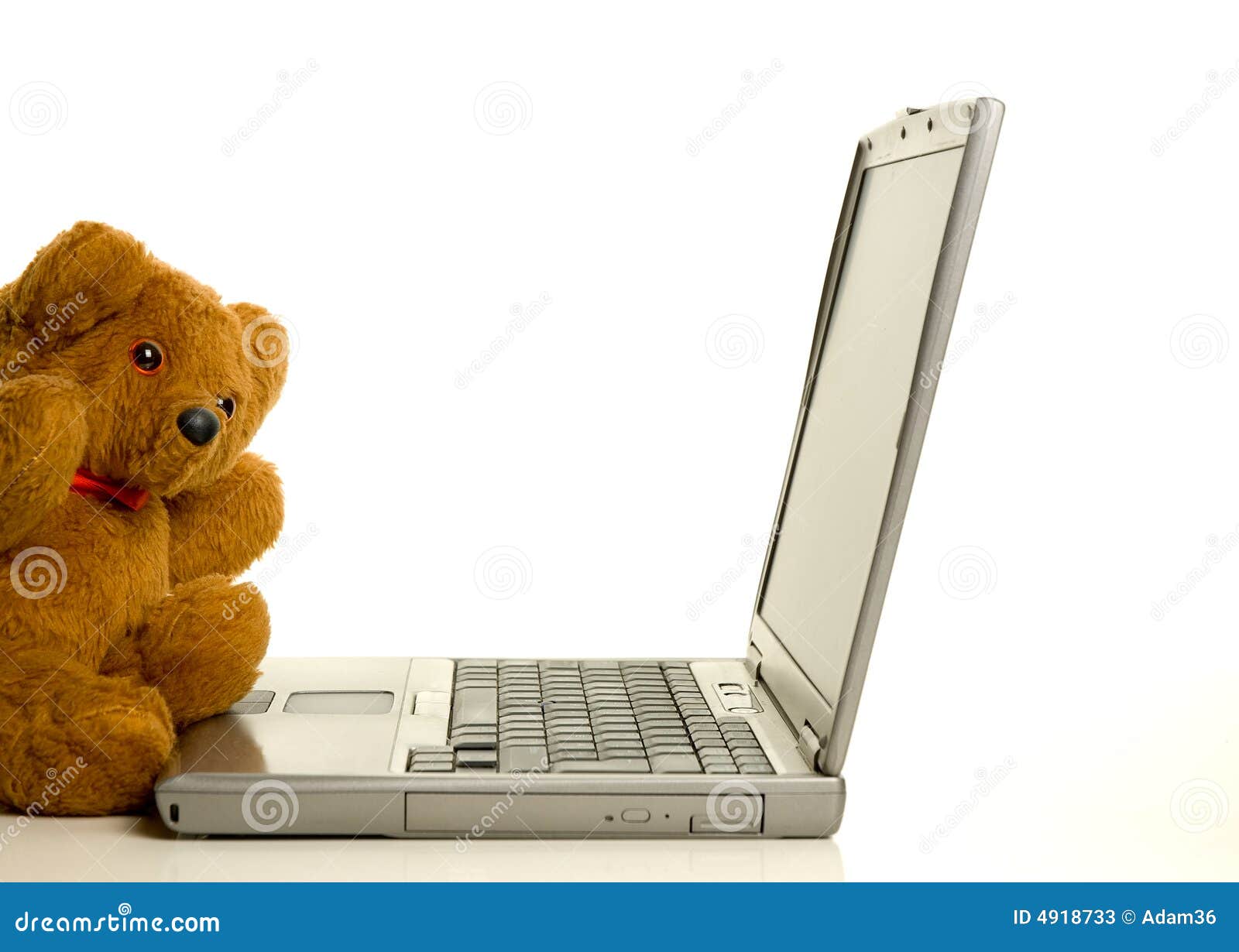 Teddy Bear With Laptop Stock Photos Image 4918733