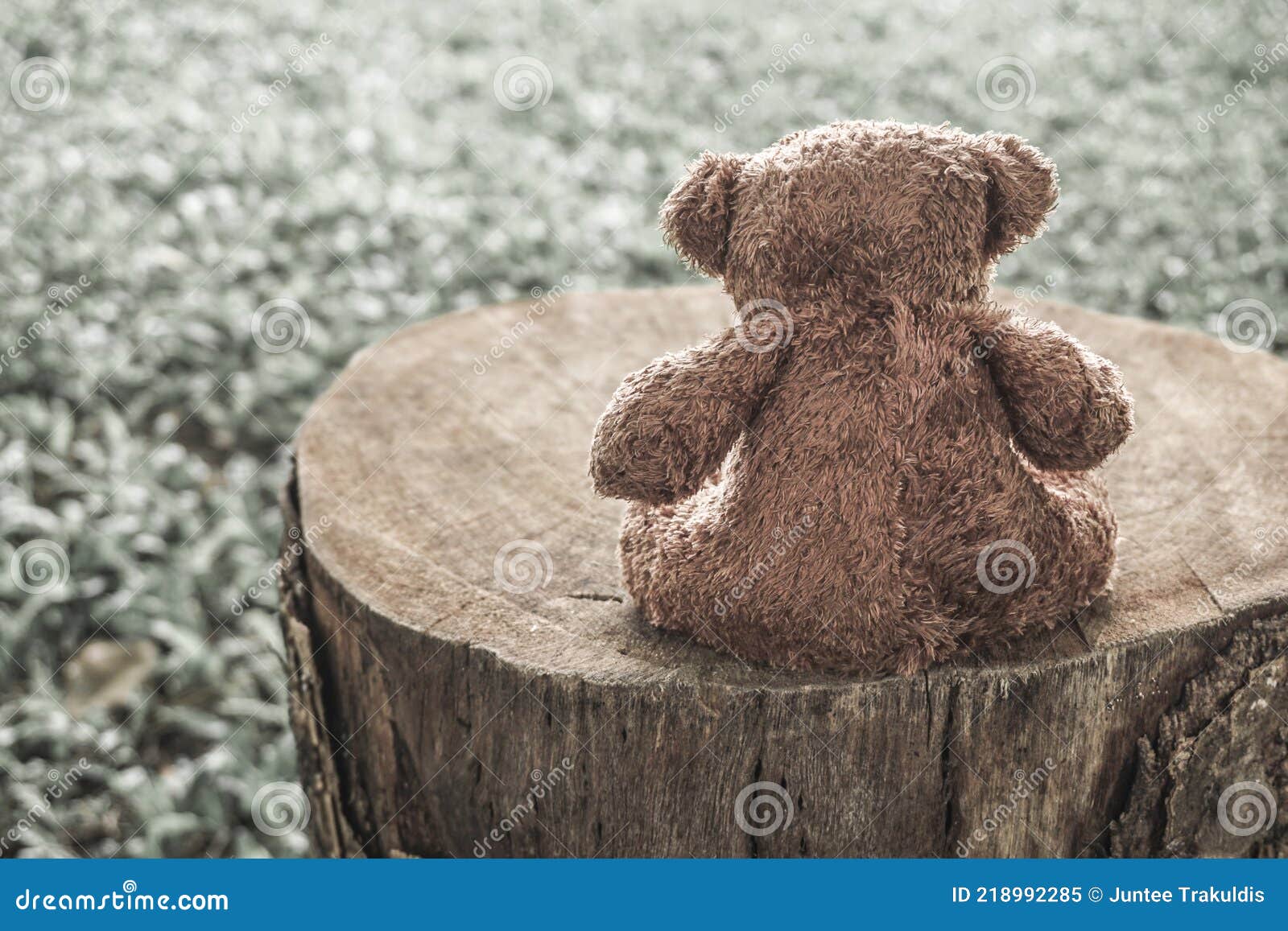 Teddy Bear Stock Image | CartoonDealer.com #218992285