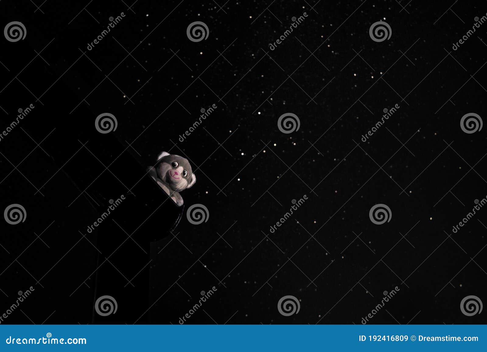 Teddy Bear Looking Looking Alive Night Sky Background Stock Image