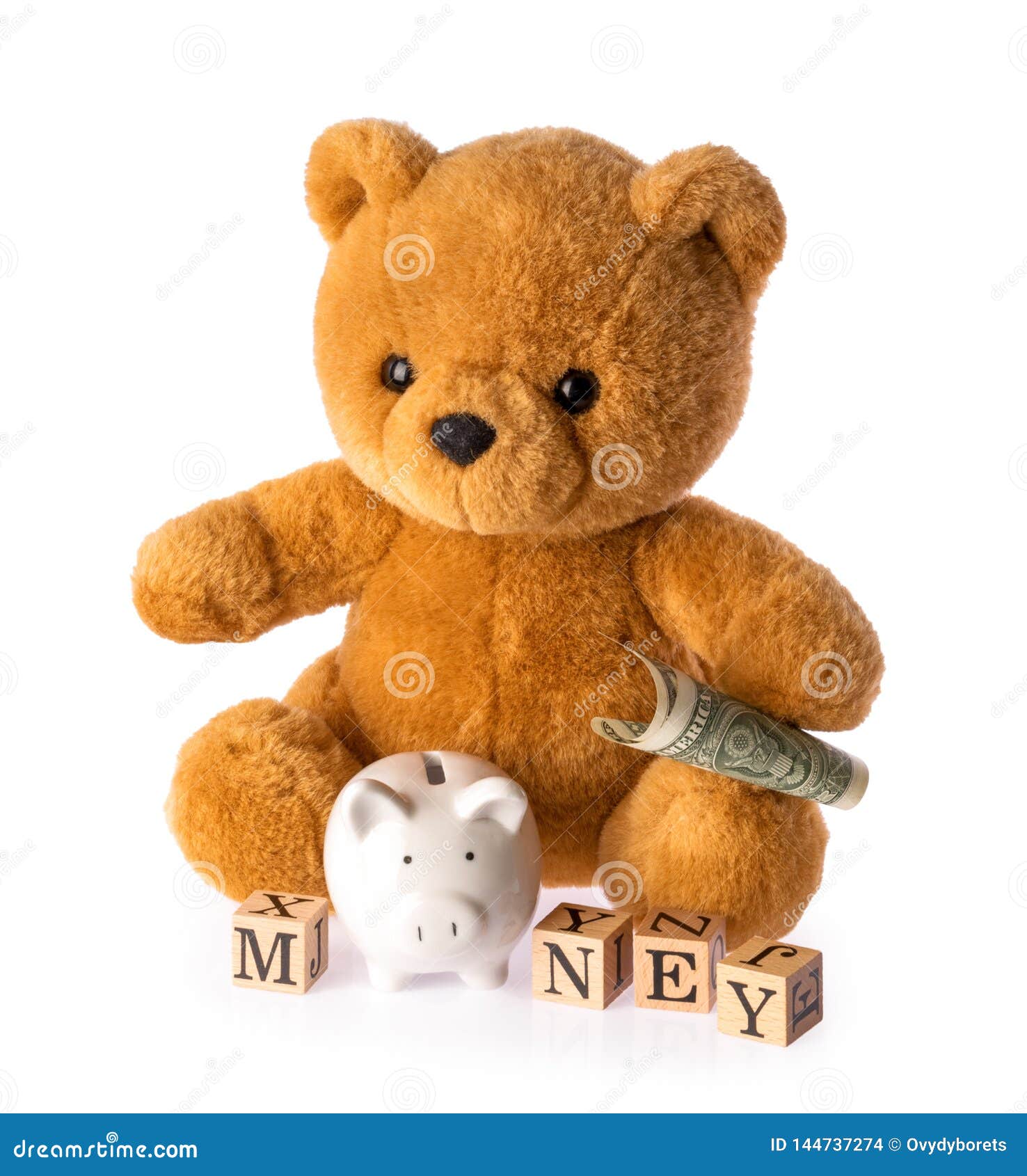Teddy Bear. Money Savings Concept Isolated White Background Stock Photo