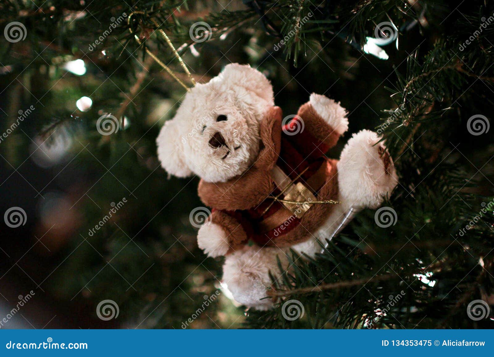Teddy Bear Ornament stock image. Image of lights, holiday 134353475