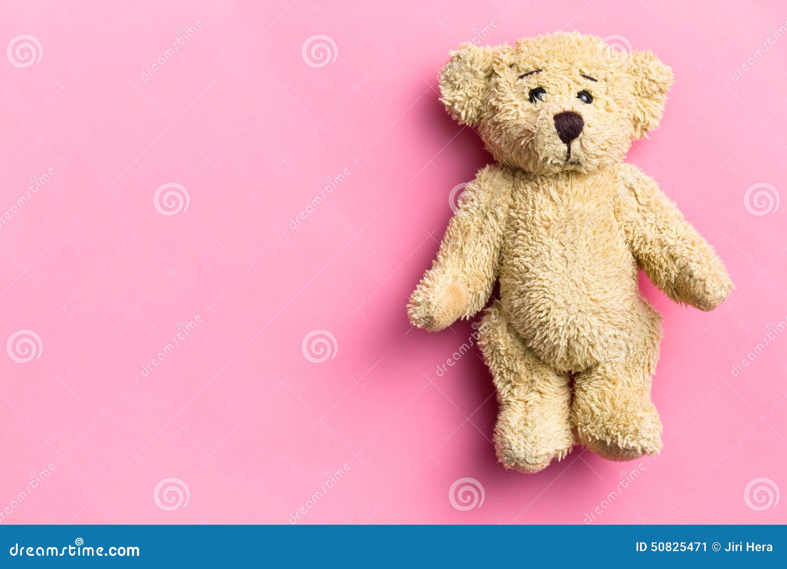 Teddy Bear On Pink Background Stock Image - Image of doll, nobody: 50825471