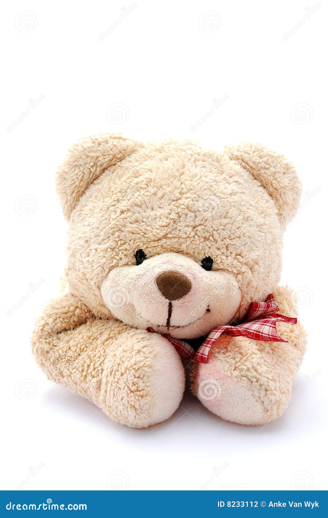 Teddy bear portrait stock photo. Image of smiles, toys 8233112