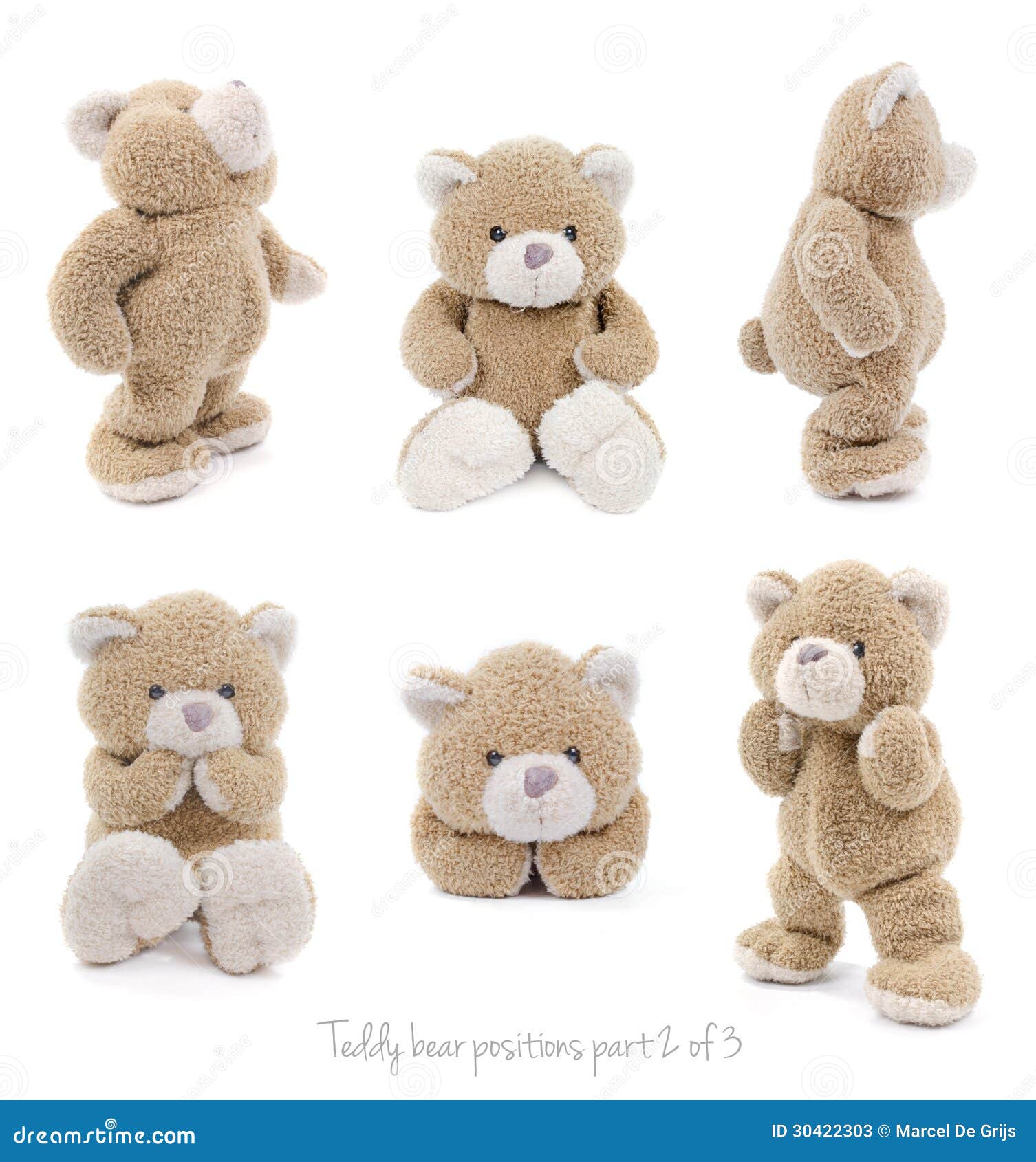 Teddy bear positions stock image. Image of feelings, laying 30422303