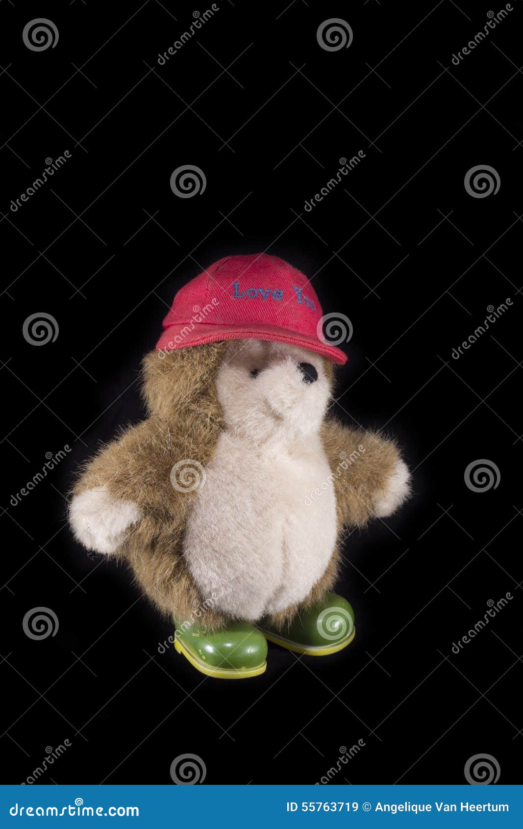 Teddy Bear with Red Cap and Green Boots Stock Image Image of isolated