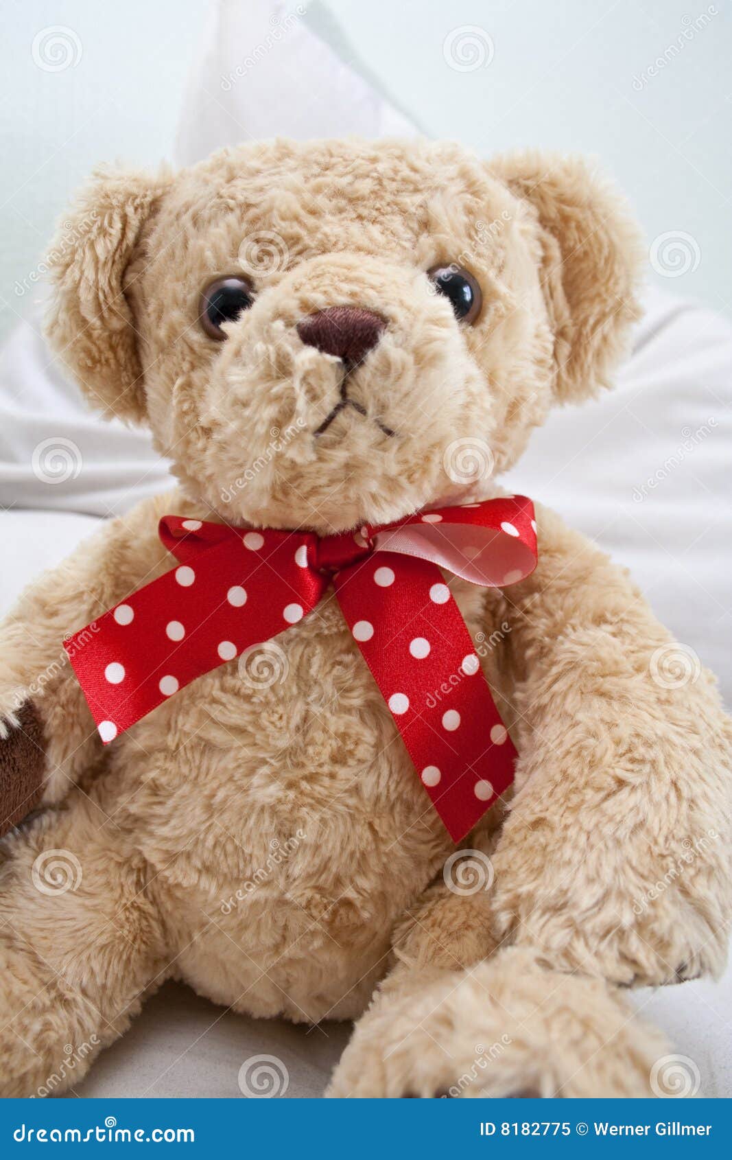 Teddy Bear with Red Polka Dot Ribbon Stock Image Image of friend
