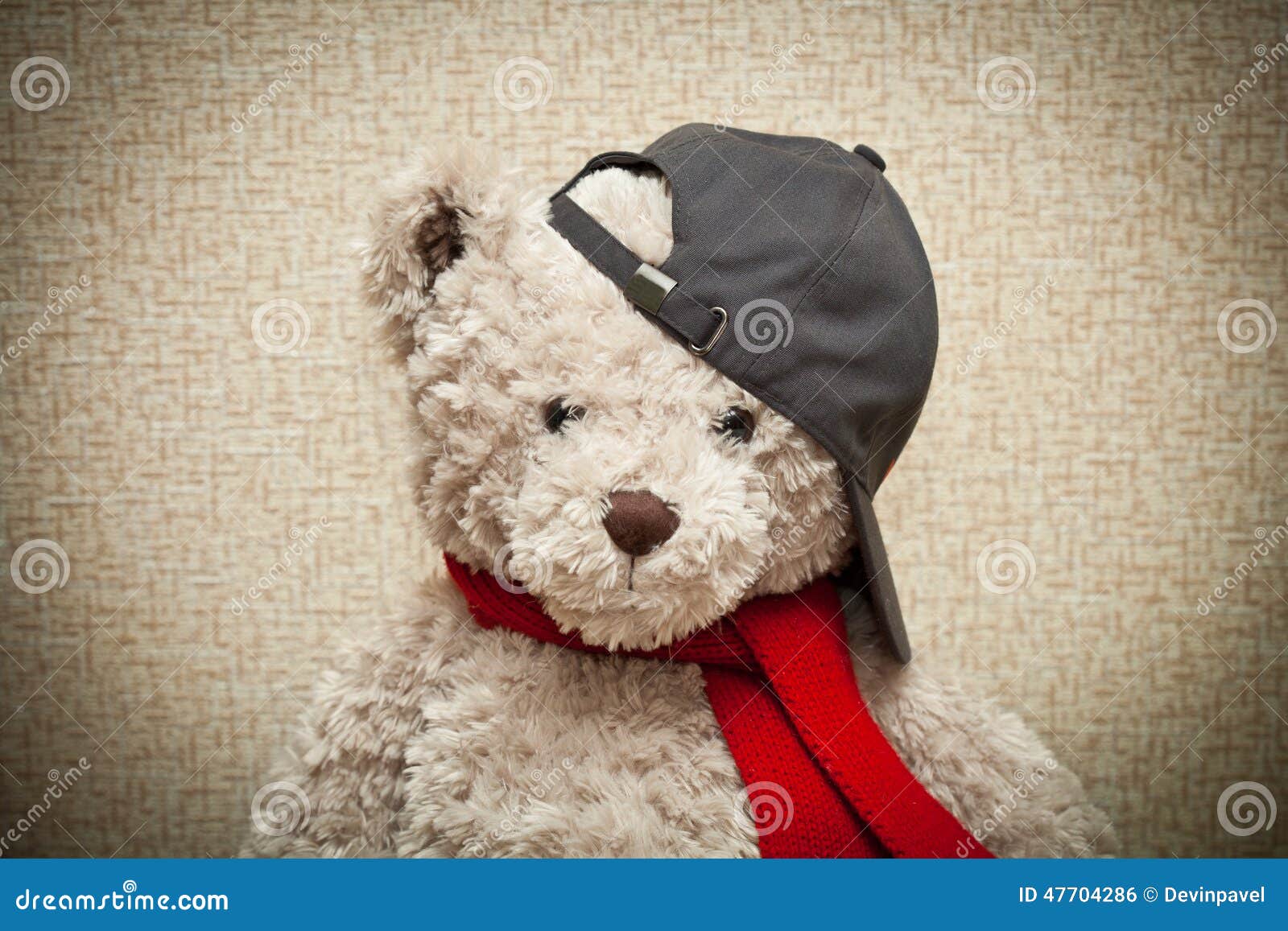 Teddy Bear in a Red Scarf and a Black Baseball Cap Stock Photo Image