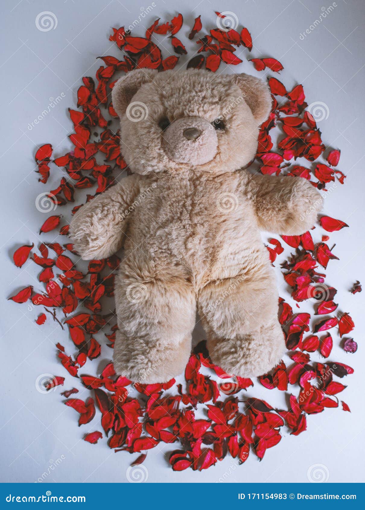 rose petal teddy bear
