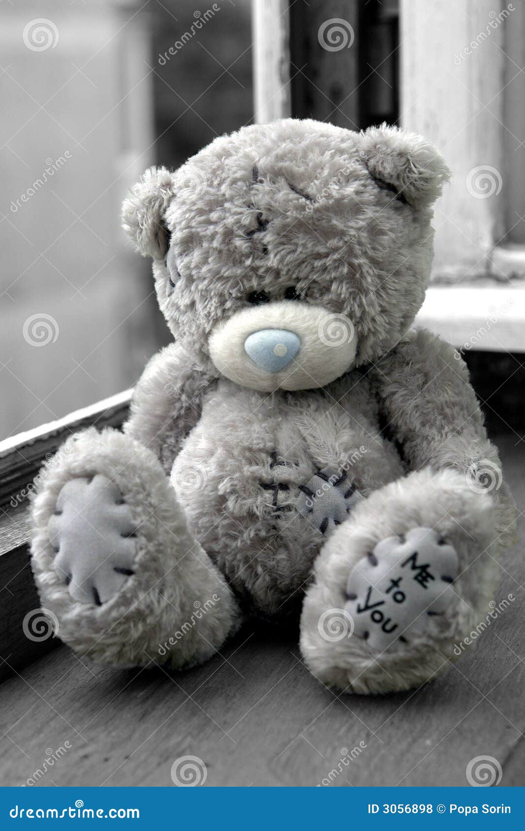 Teddy Bear s Hug editorial stock photo. Image of sitting 3056898