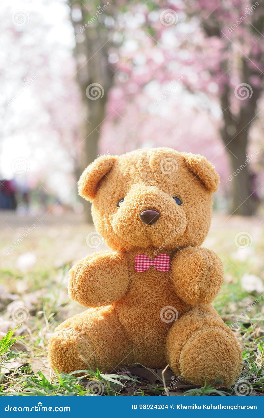 teddy bear garden