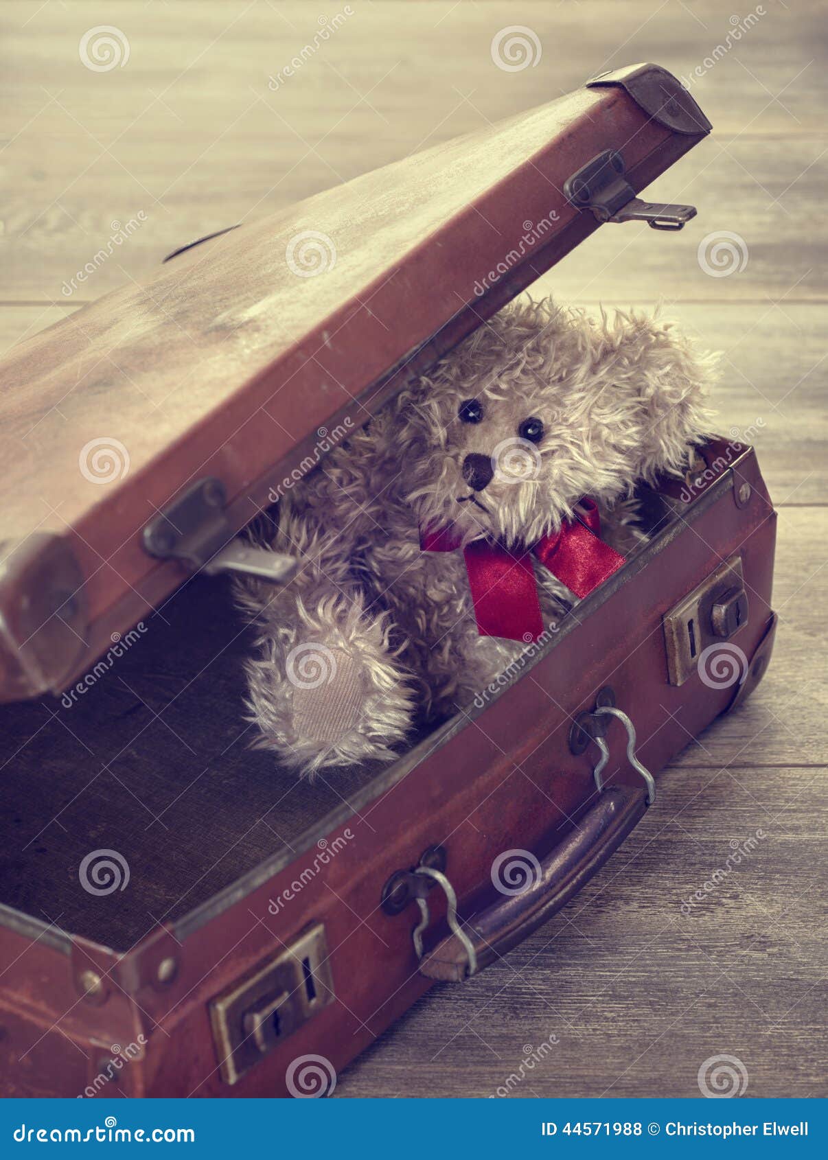 Teddy in Suitcase foto archivo. Imagen de vacaciones - 44571988