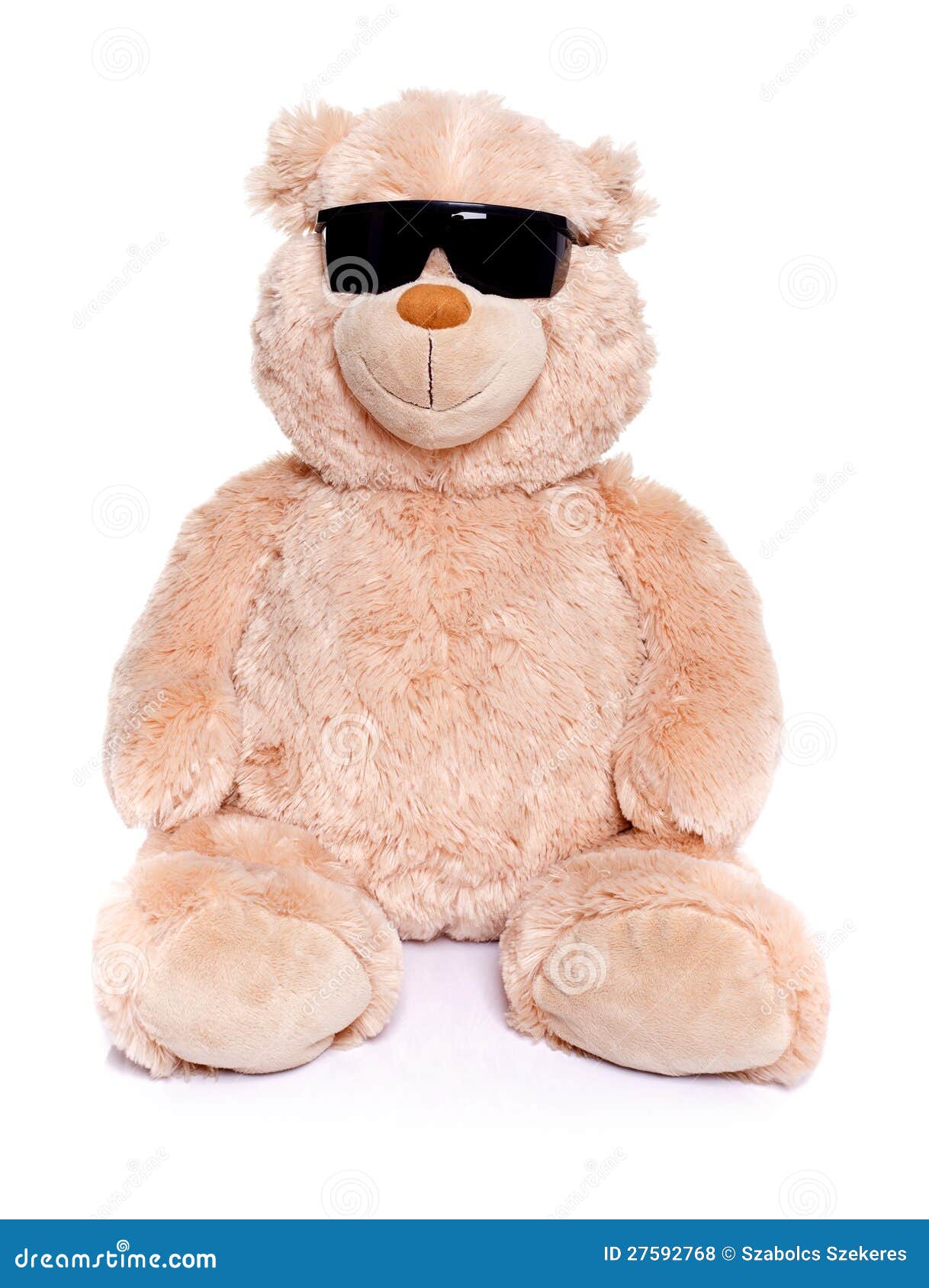 teddy bear with sunglasses