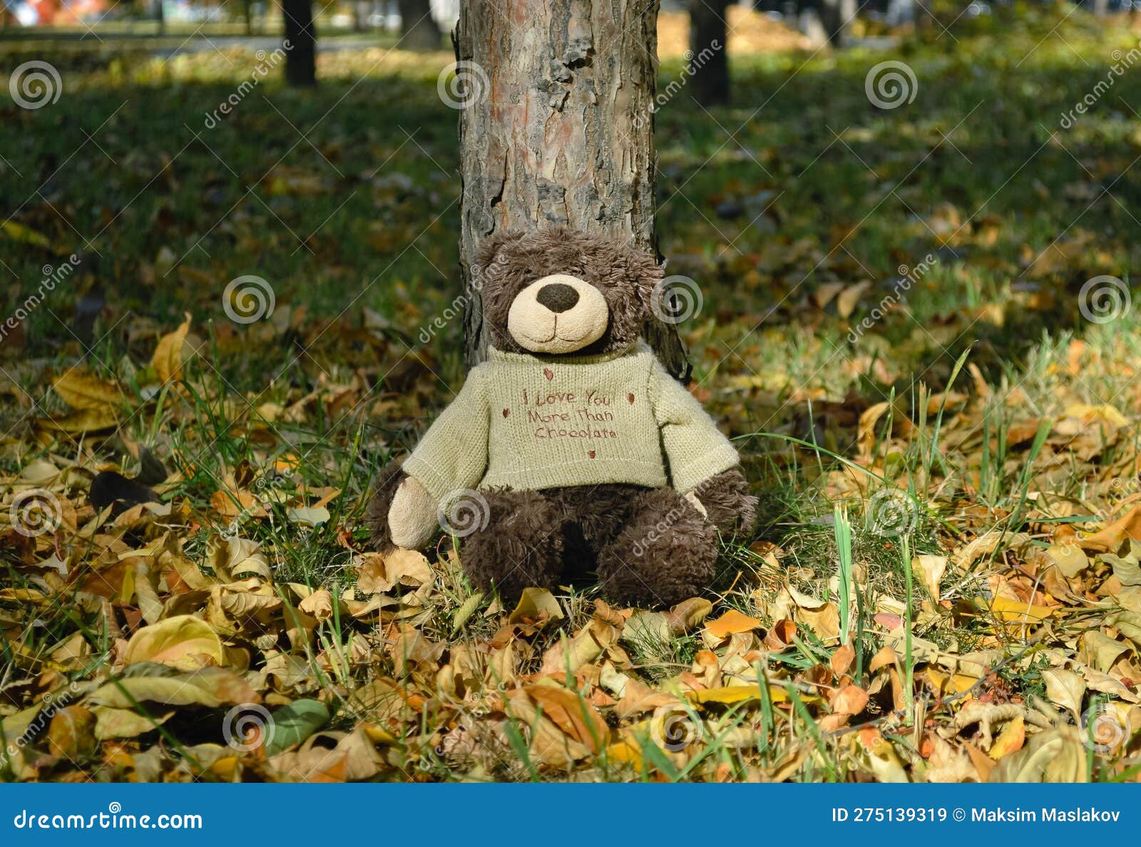 A Teddy Bear in a Sweater Sits on an Autumn Lawn Leaning Against a Tree ...