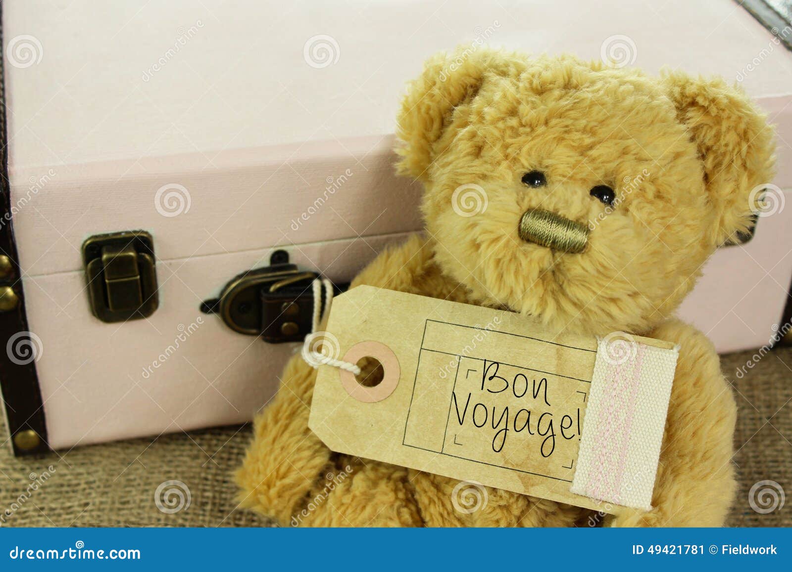 teddy bear with vintage suitcase and bon voyage luggage tag