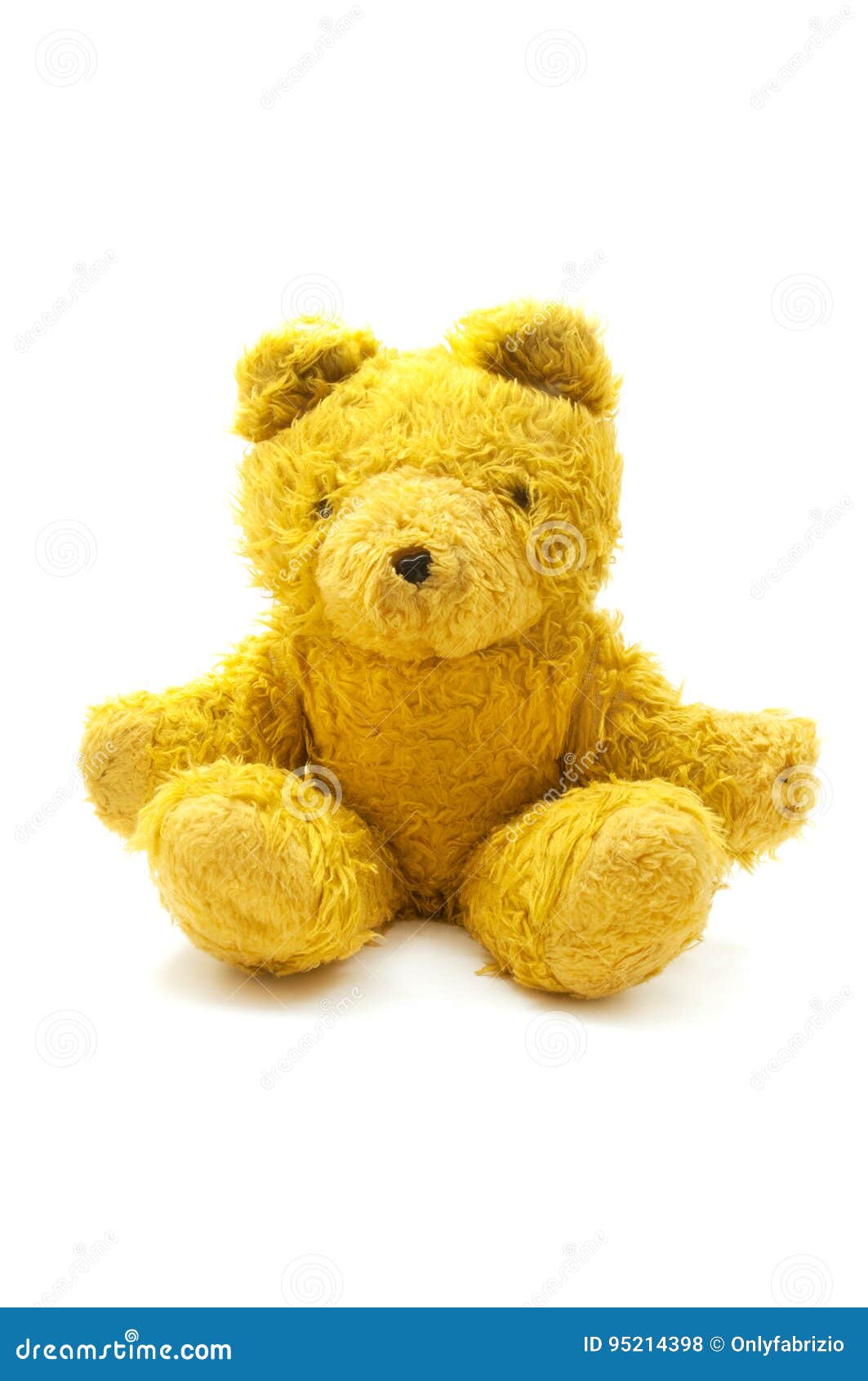 Teddy bear stock photo. Image of yellow, studio, white 95214398