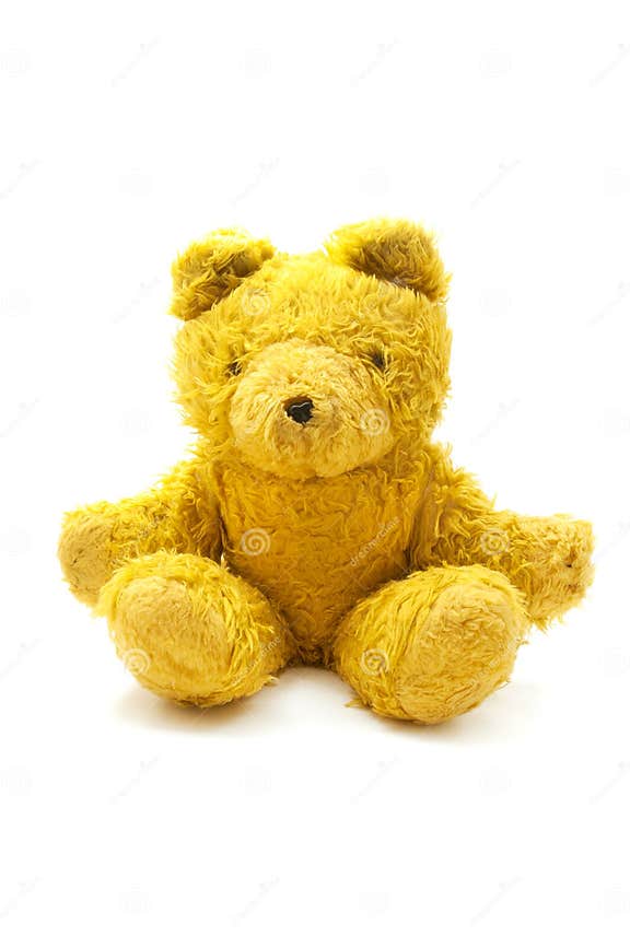Teddy bear stock photo. Image of yellow, studio, white 95214398
