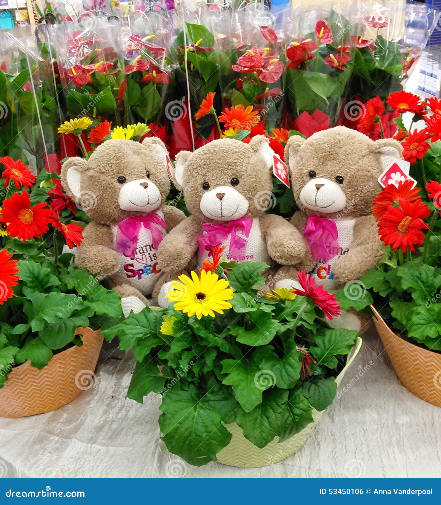 Teddy Bears with Flowers fotografia stock. Immagine di amore 53450106