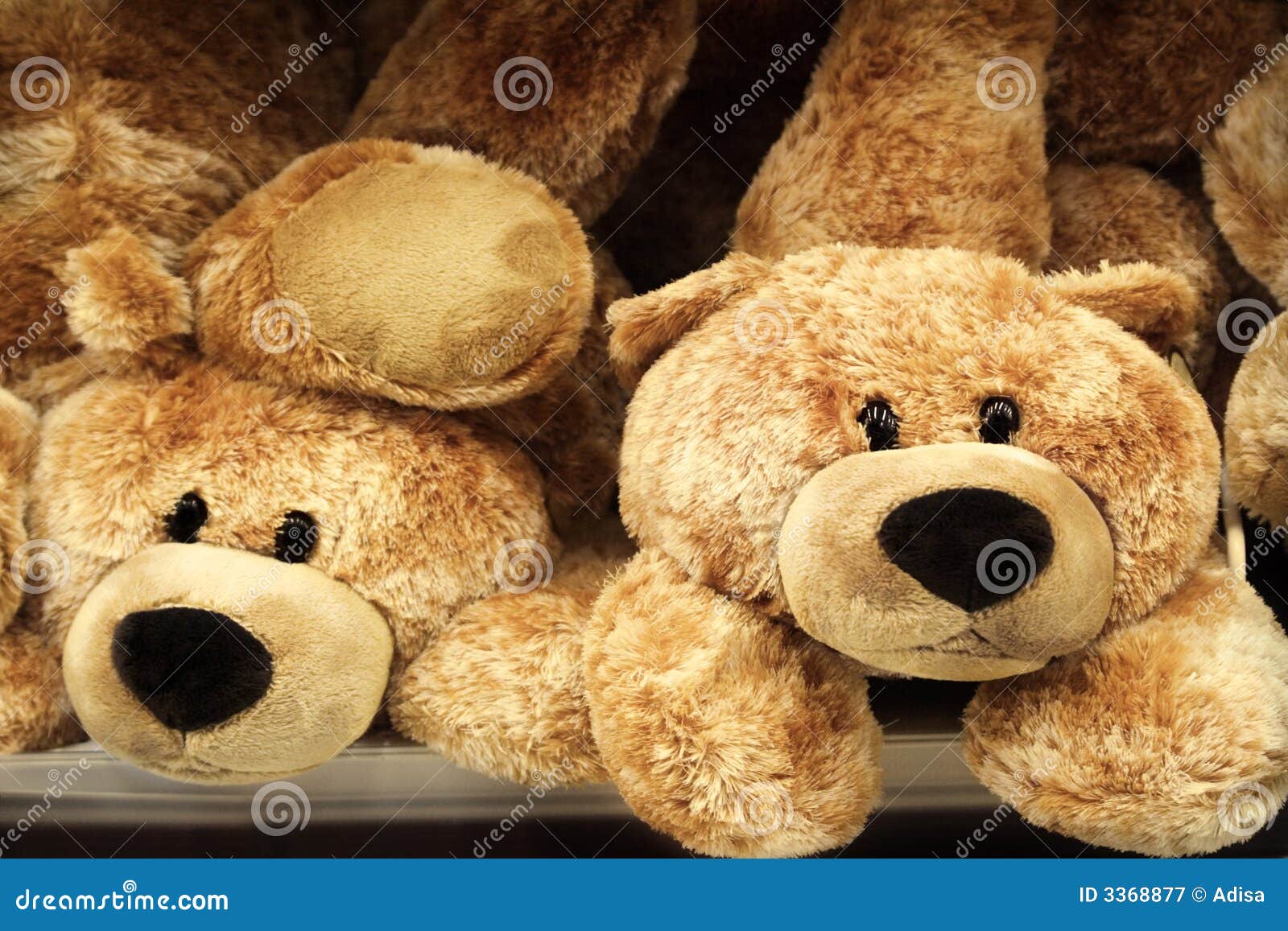 26,800+ Toy Stuffing Stock Photos, Pictures & Royalty-Free Images