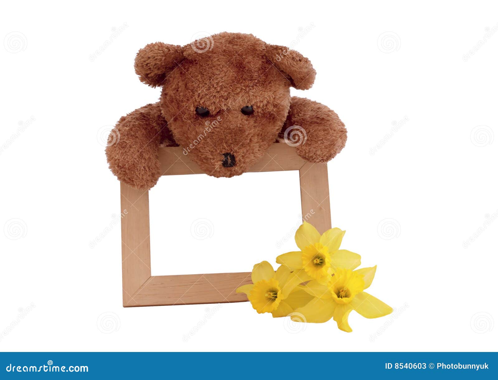 Teddy and Photo Frame stock image. Image of fluffy, frame - 8540603
