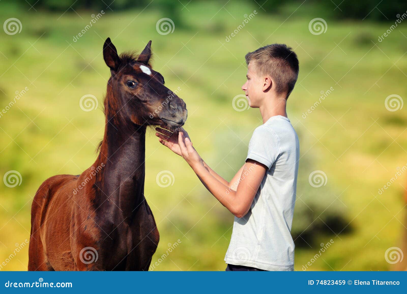 teen boy communicates with horse