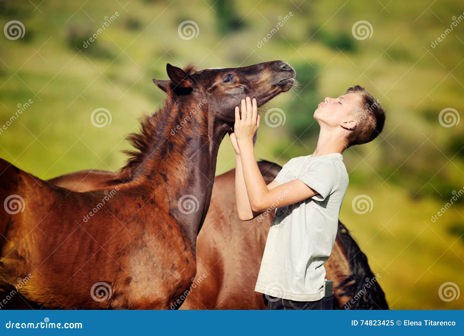teen boy communicates with horses