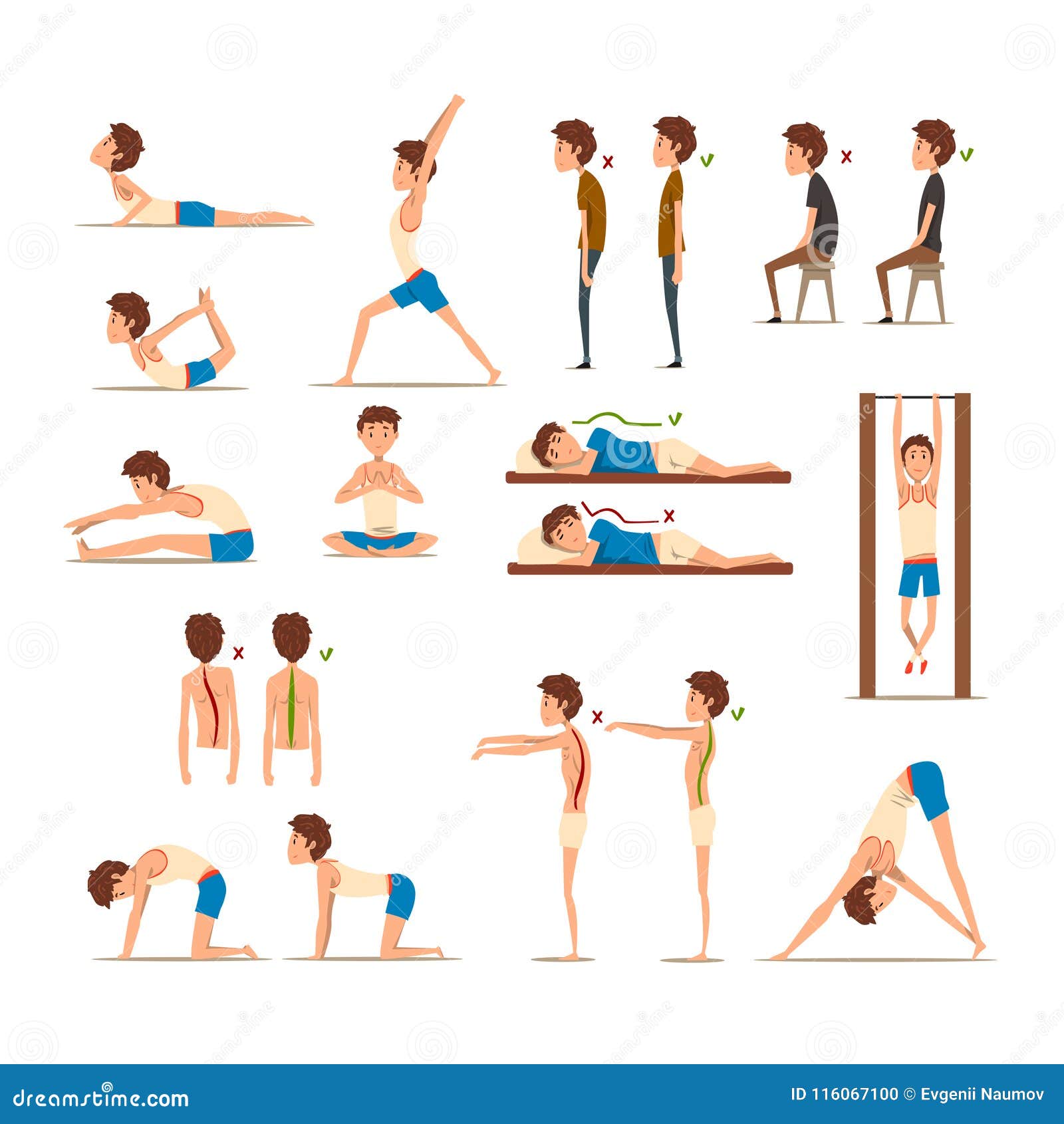 Physical therapy exercises for lower back pain Vector Image