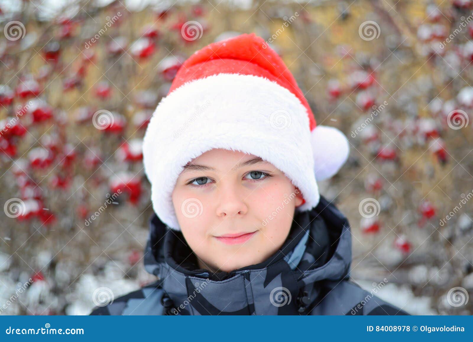 Teen In Cap Santa Claus On Background Of Viburnum Stock Pho