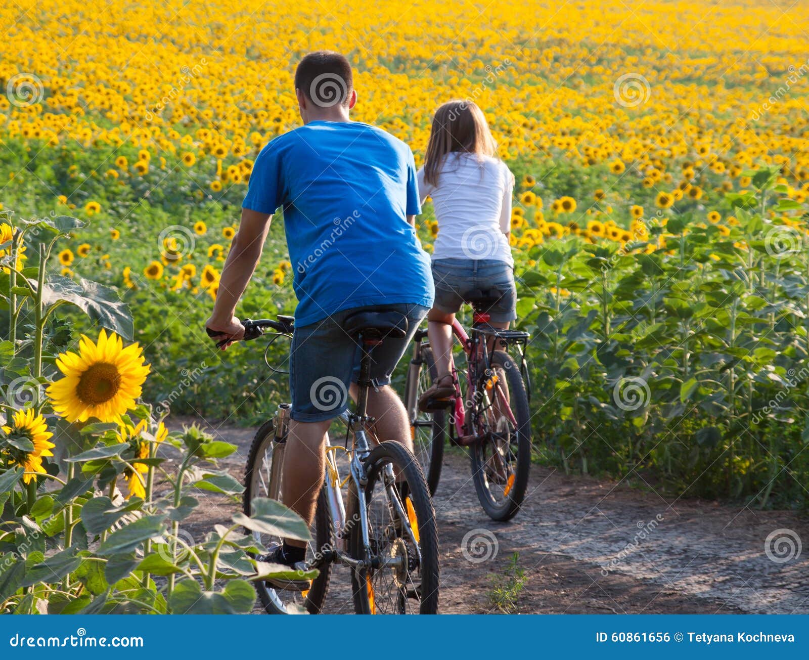 Teen Couple Riding Bike In Sunflower Field Stock Photo I