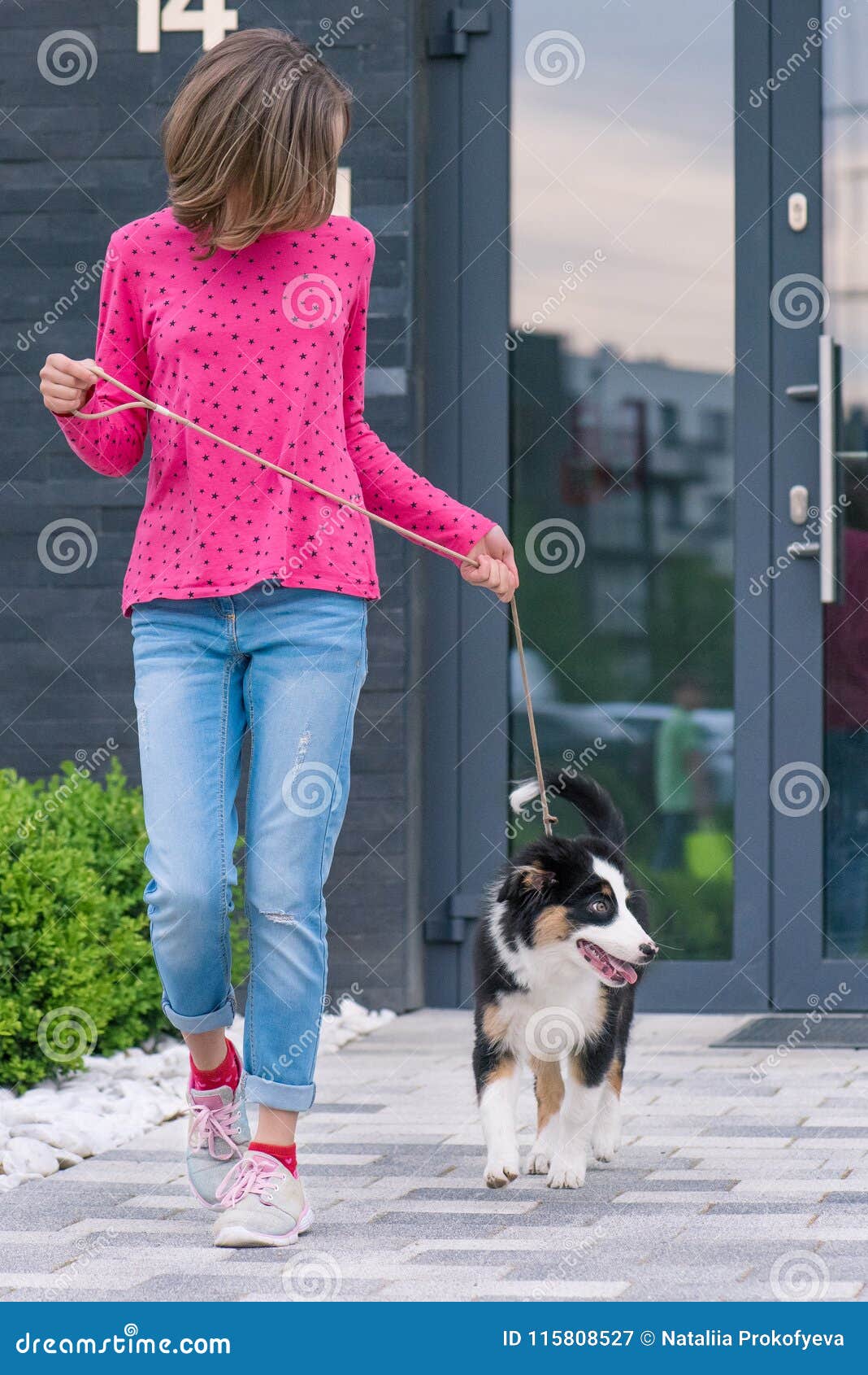 Teen Girl Playing With Puppy Stock Image Image Of Leis