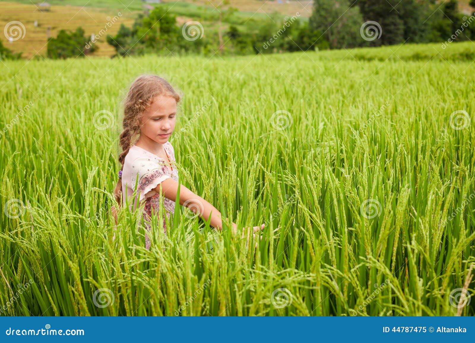 teen girl on the rice paddies