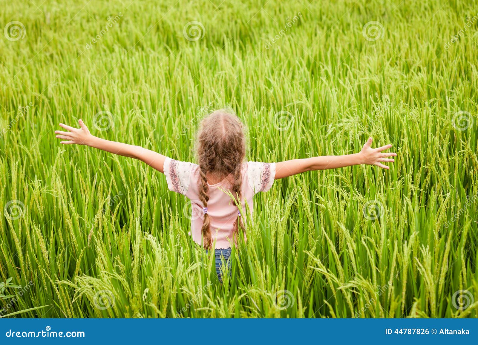 teen girl on the rice paddies
