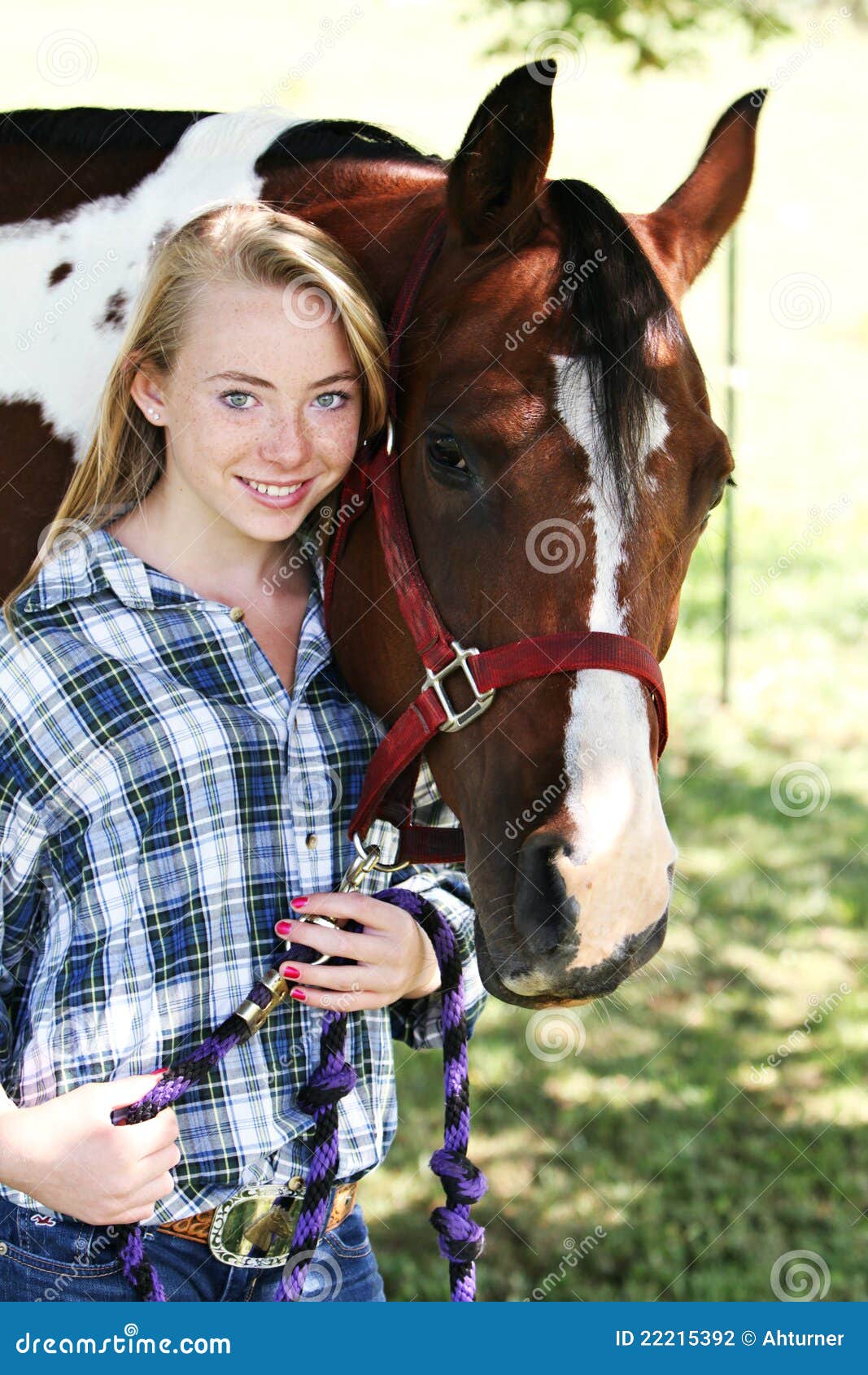 Horse Teen