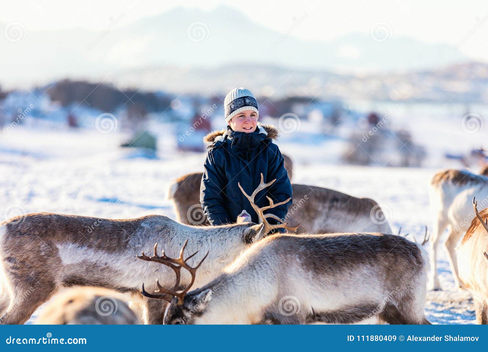 Download Teenage boy with reindeer stock image. Image of teenager ...