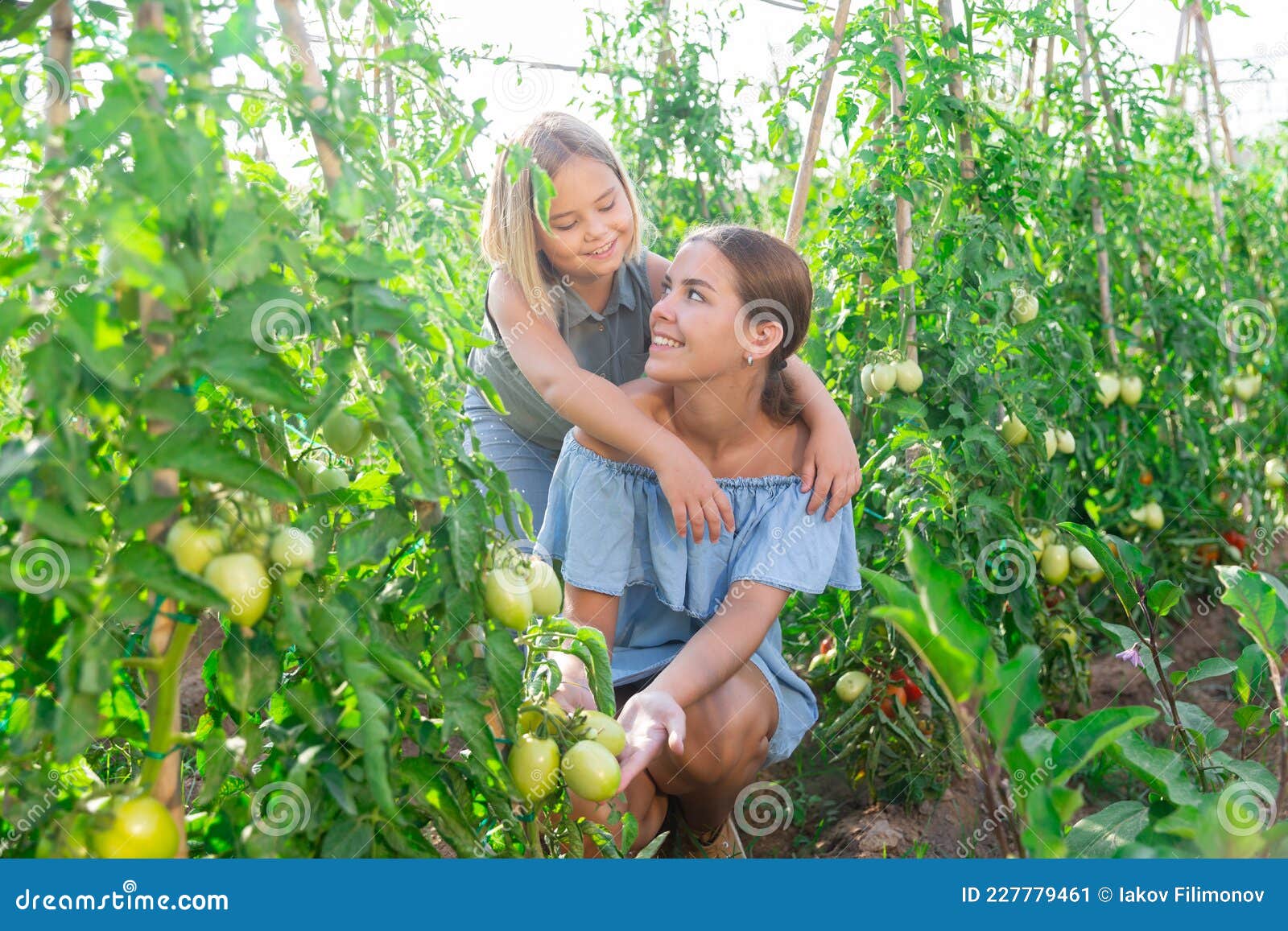 Daughter Helps Mother Clean Weeds In Farmer Garden Beds Stock