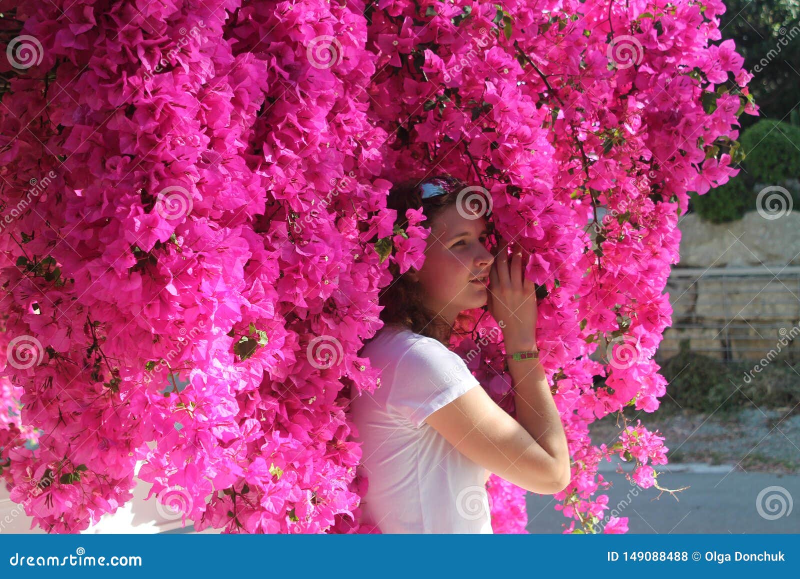Download Girl Among Pink Flowers In The Garden Stock Photo - Image ...