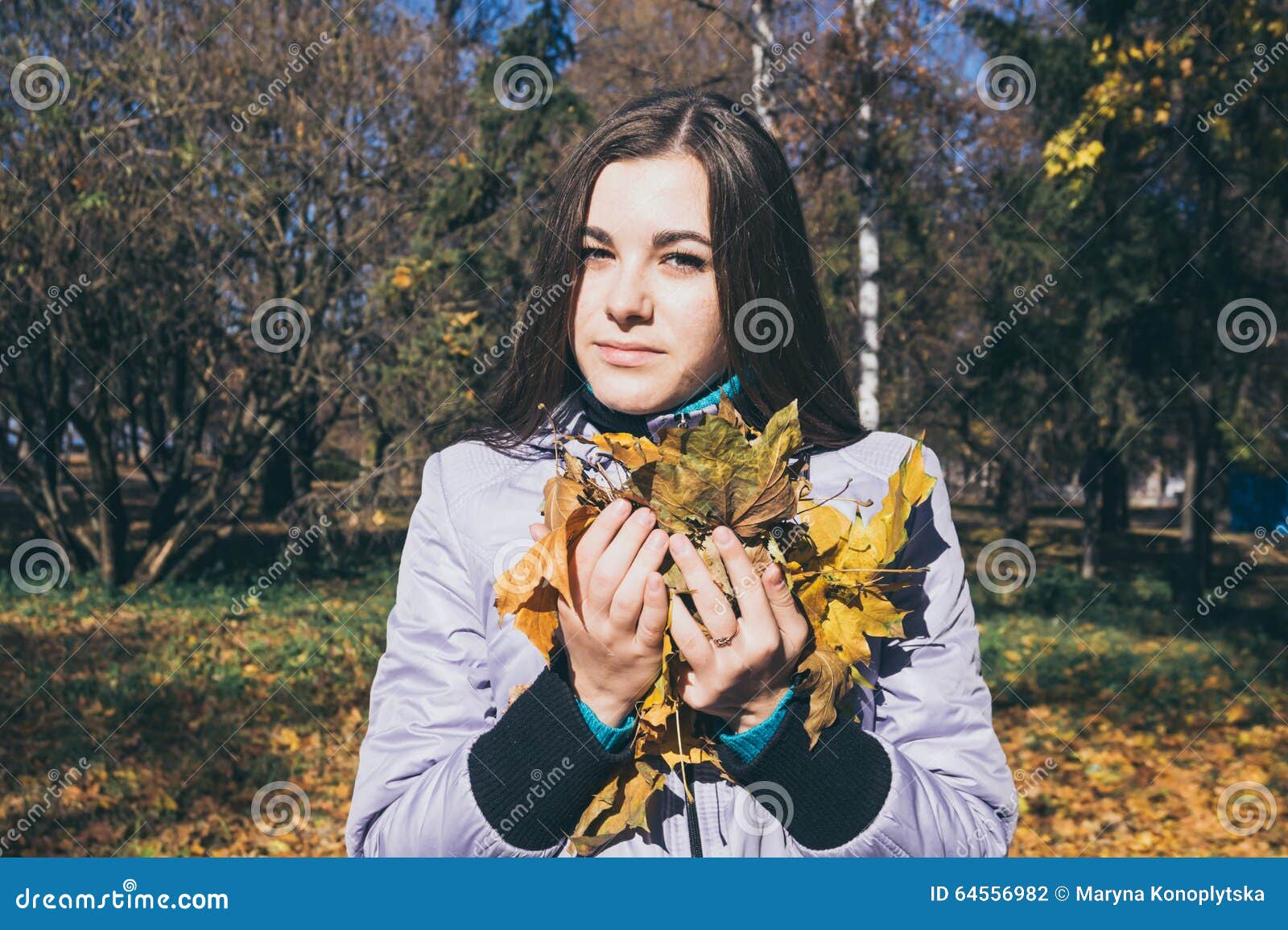 Teenager and the Armful of Yellow Autumn Leaves Stock Photo - Image of ...