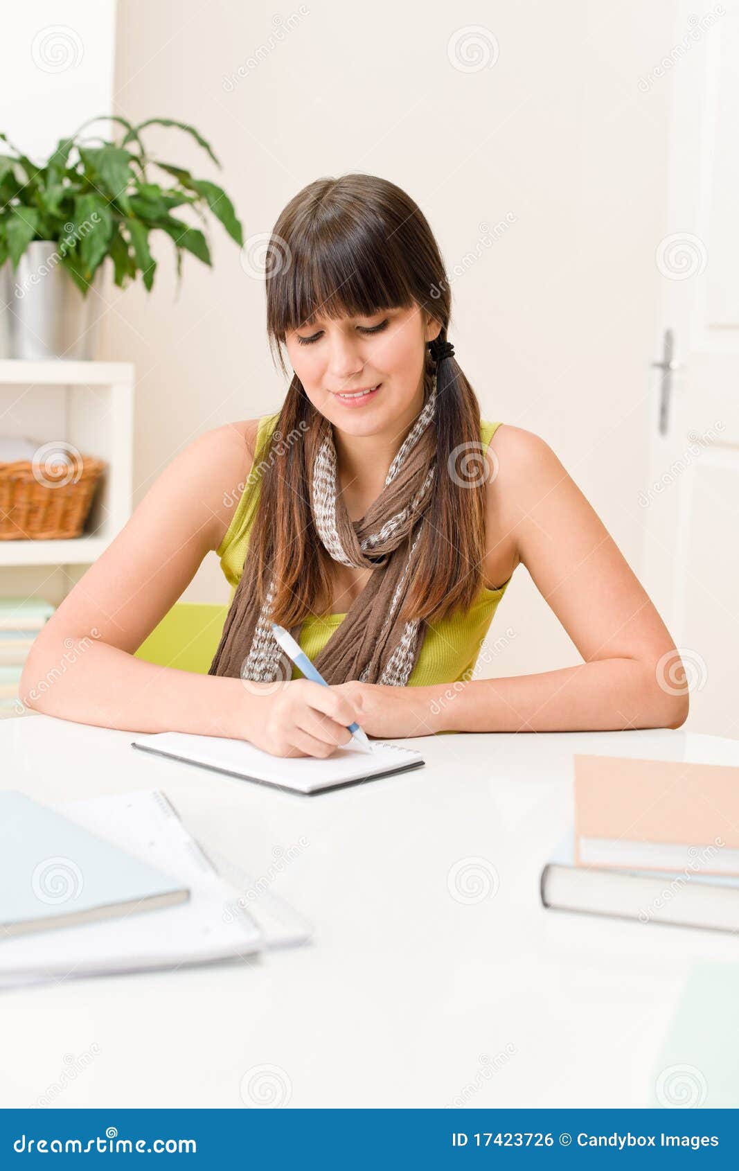 write in homework