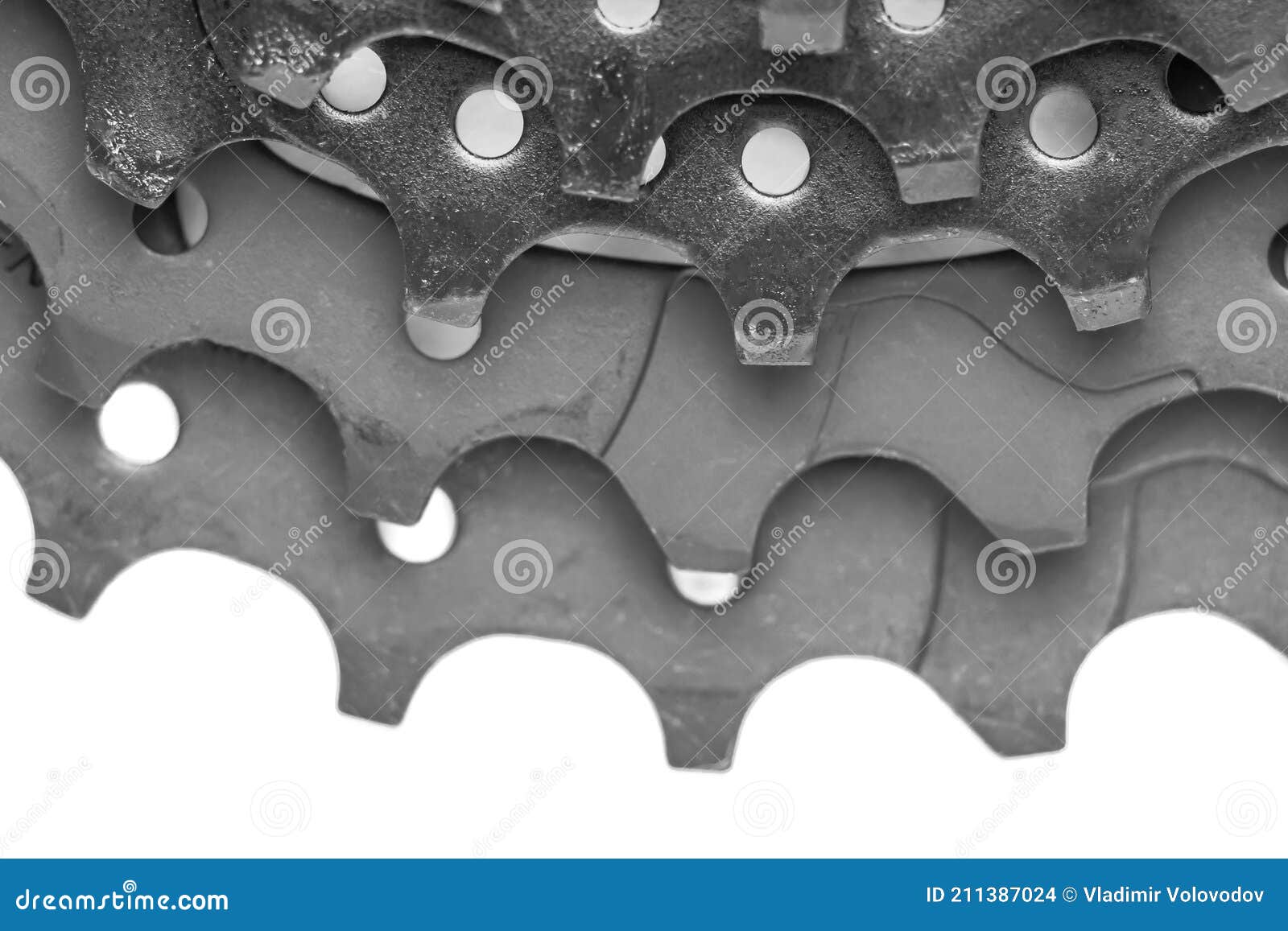 The Teeth of the Bicycle Cassette are Black in Closeup on a White