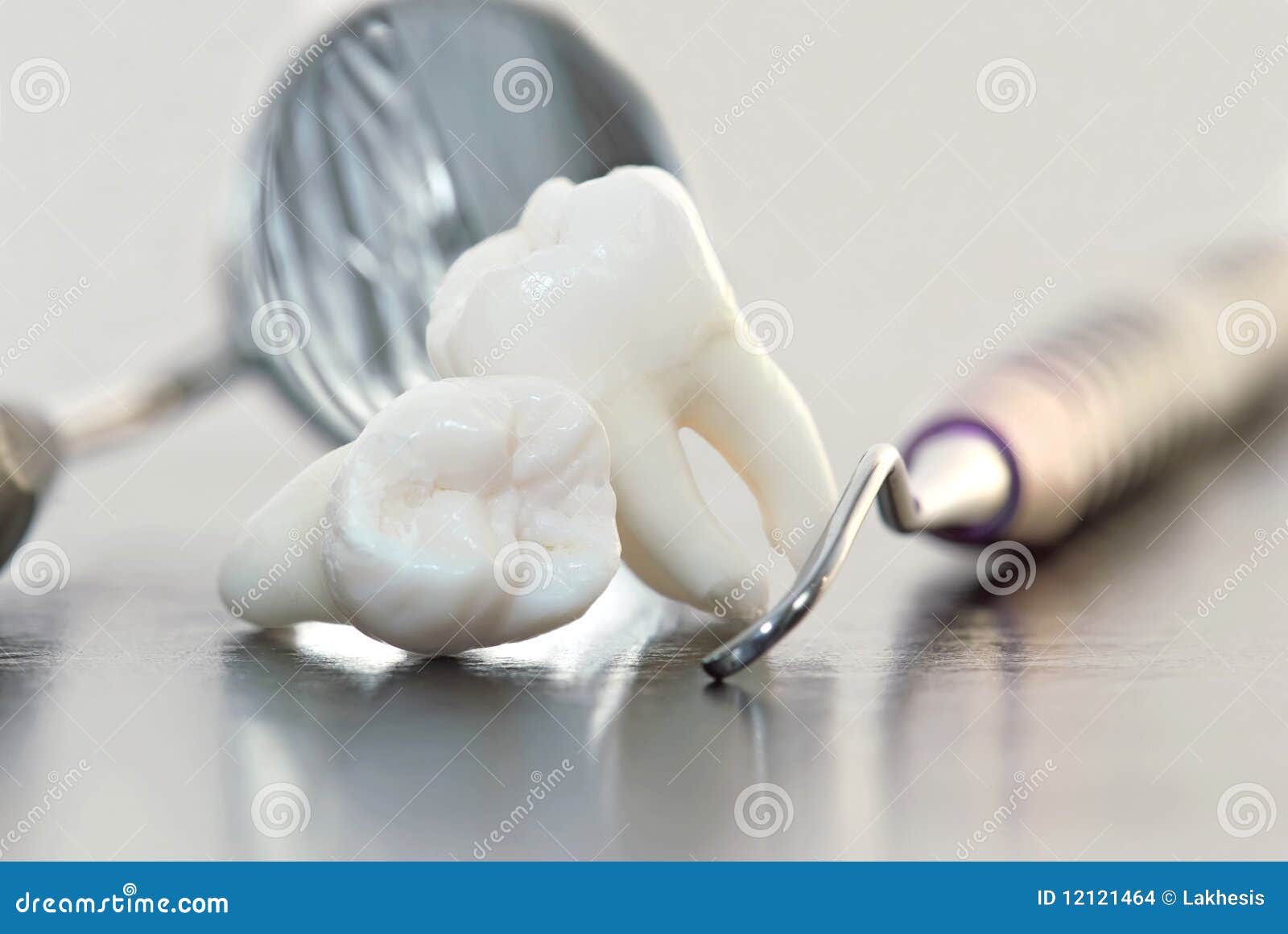 Teeth and Dental Instruments Stock Photo Image of dental, carver
