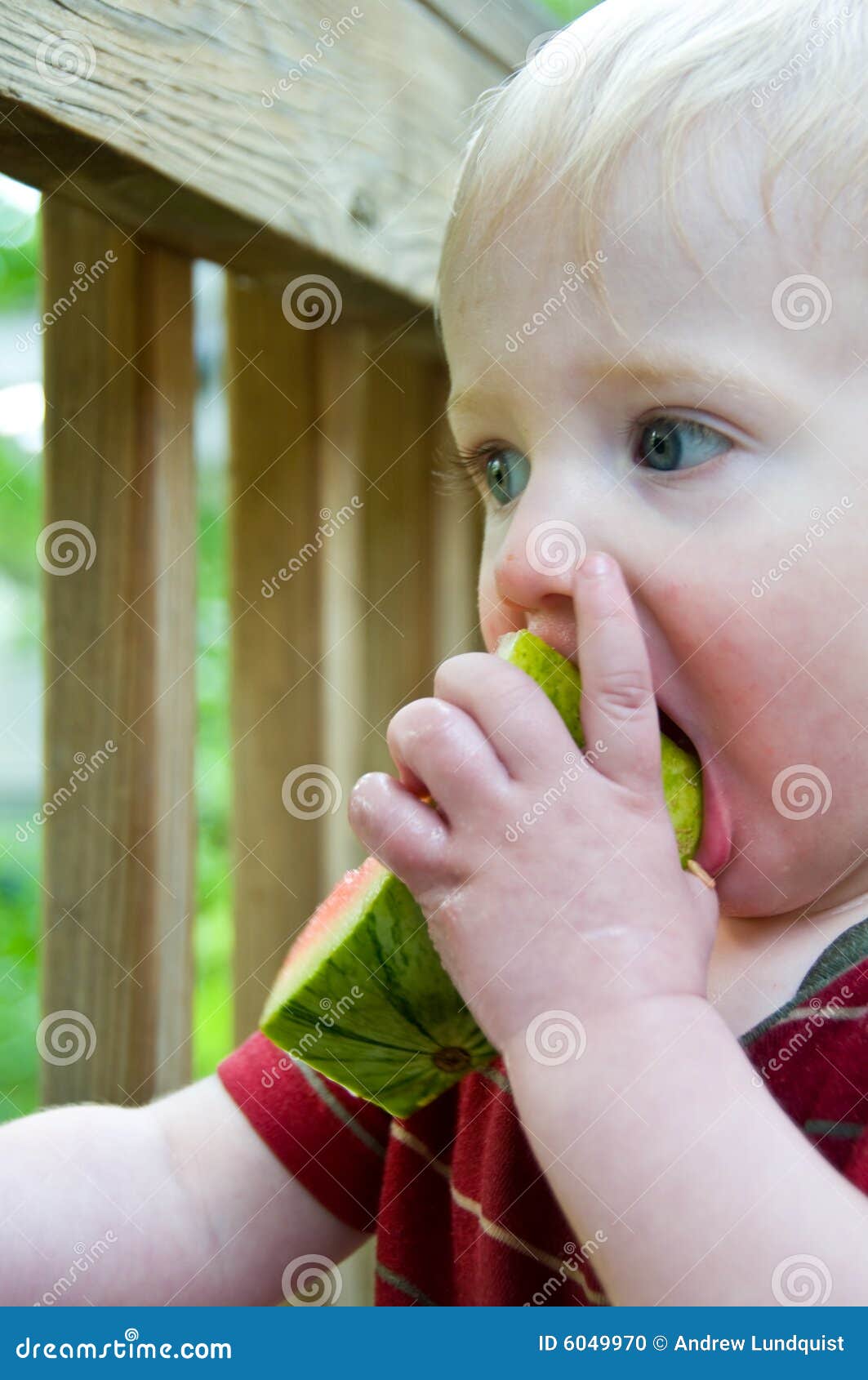 Teething Baby Chews on Watermelon Stock Photo Image of kids