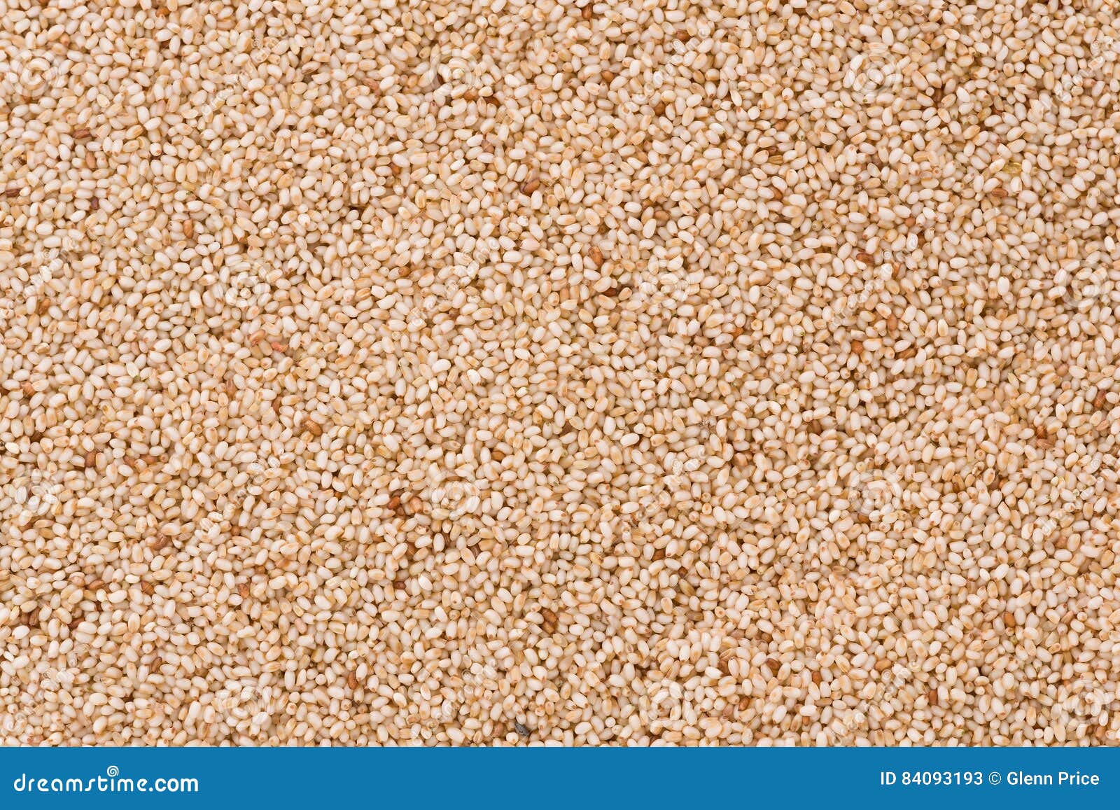 Teff Grains stock image. Image of grains, teff, ivory - 84093193