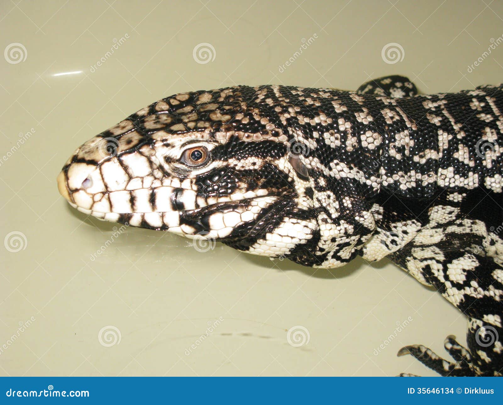 tegu HLB 830 | Teka Singapore