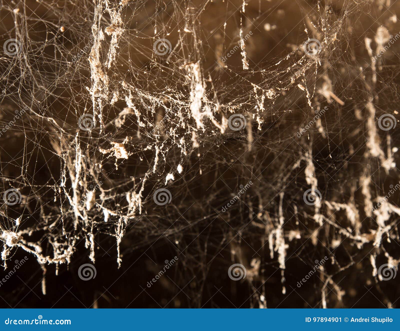 Black Stone Tattoo (@blackstonetattoosp) • Facebook, image size:1600x1325